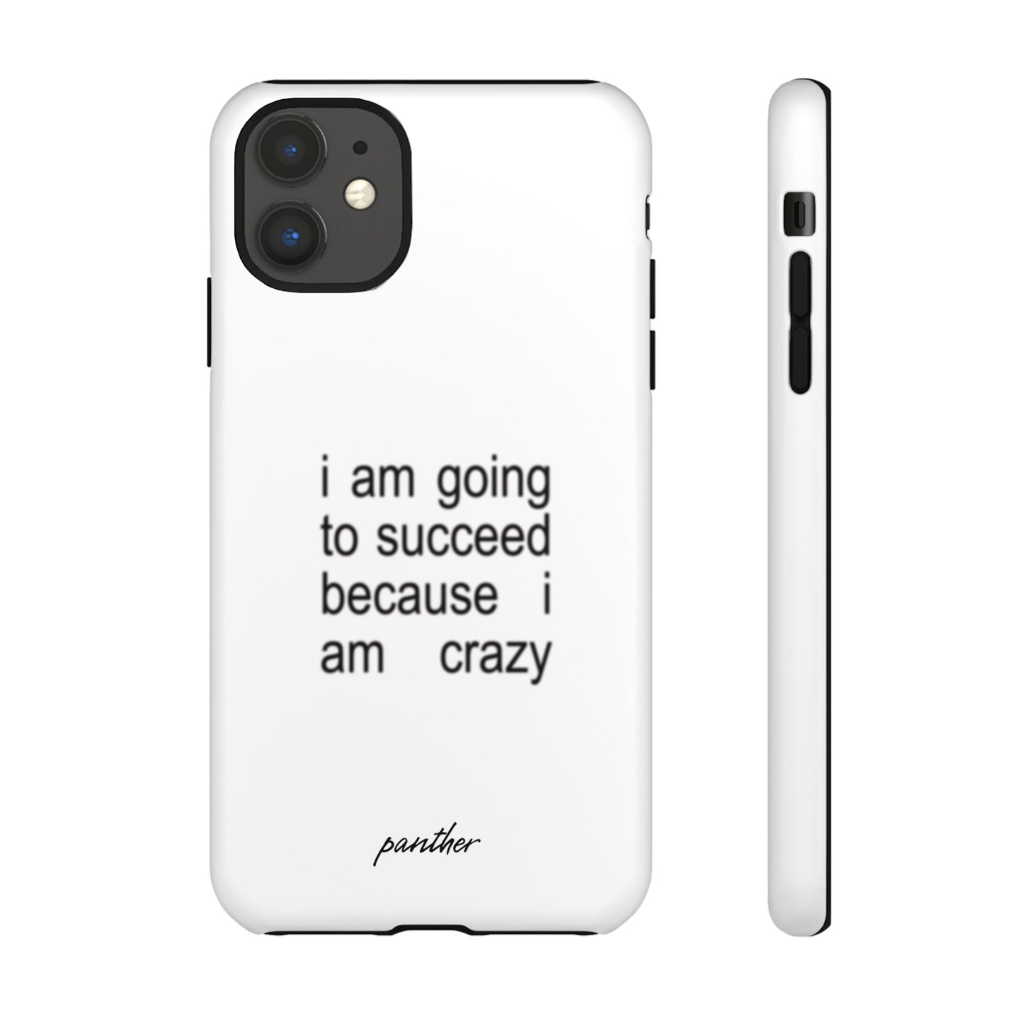 I Am Going To Succeed Because I Am Crazy