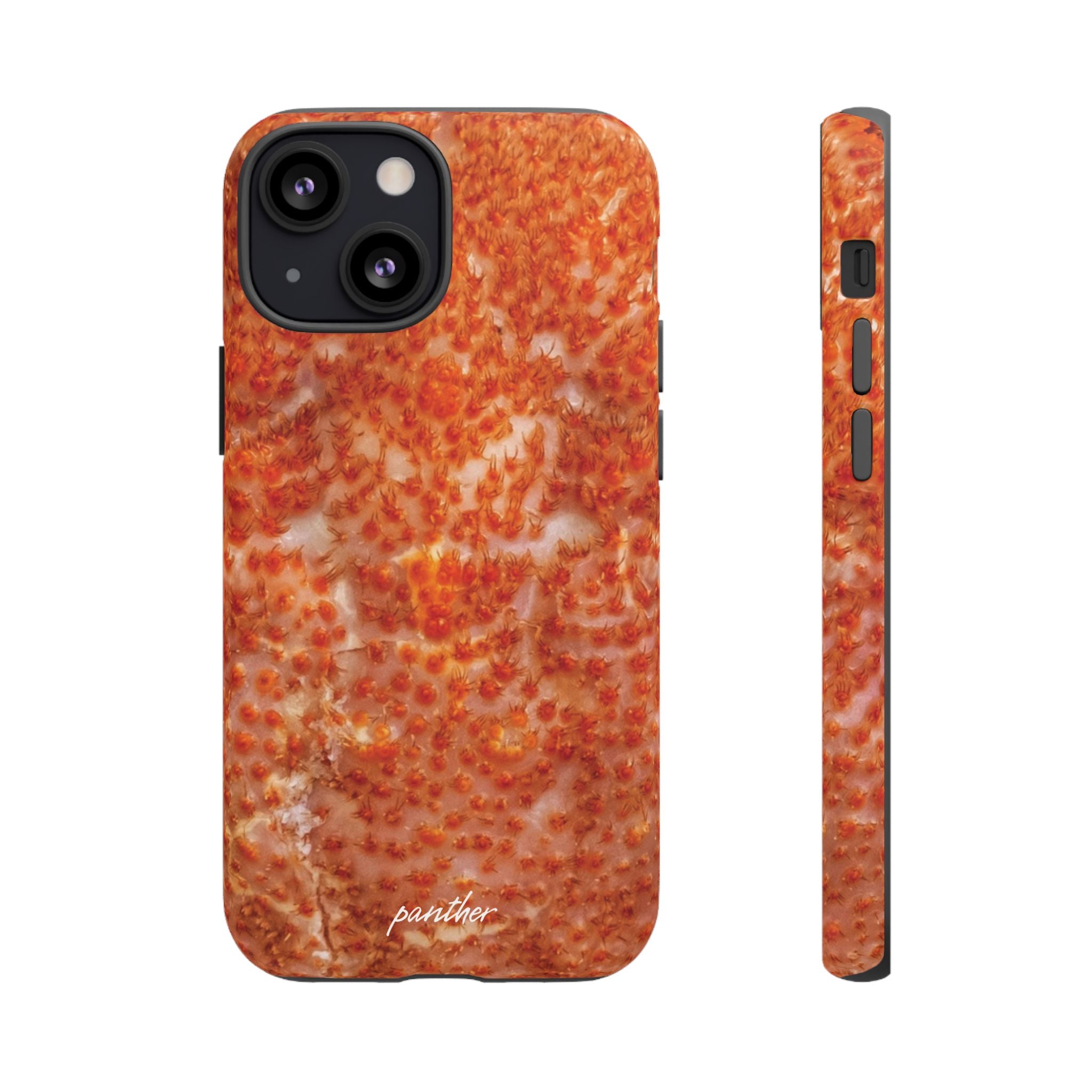 Reef