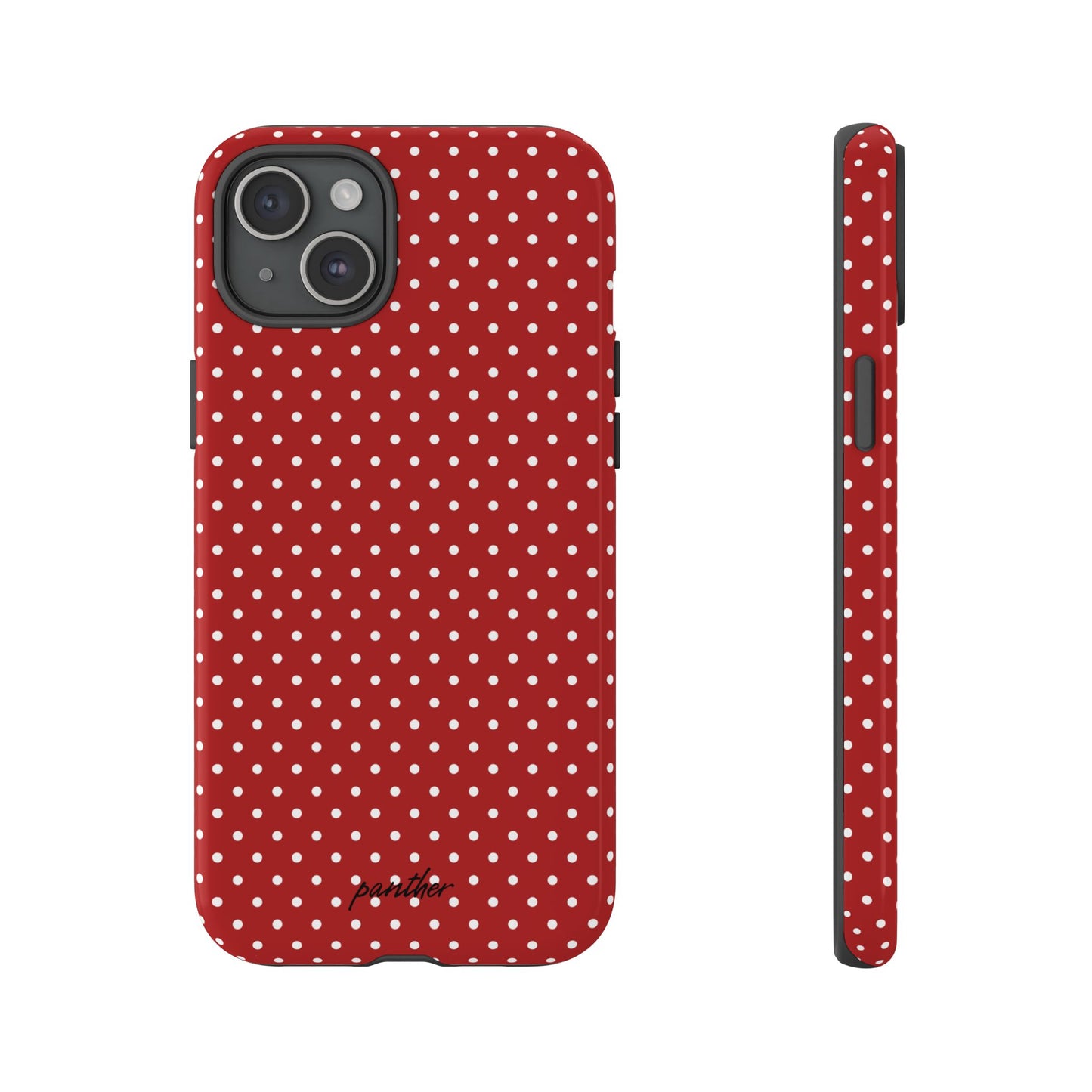 Ladybug V3