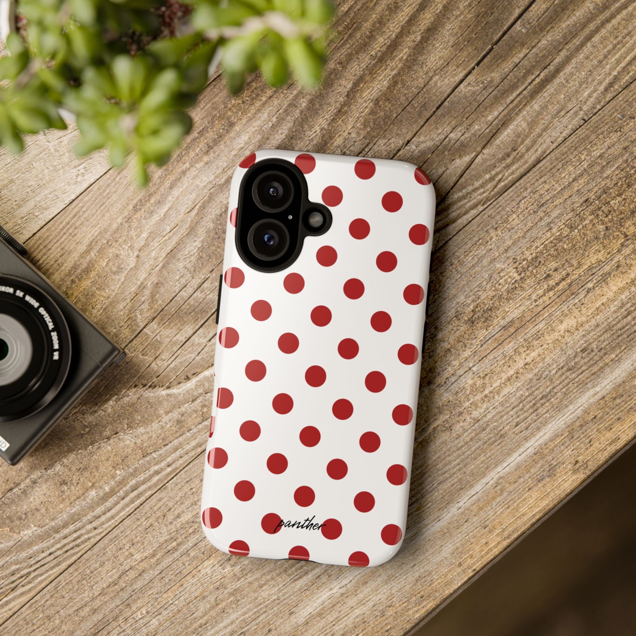 Ladybug