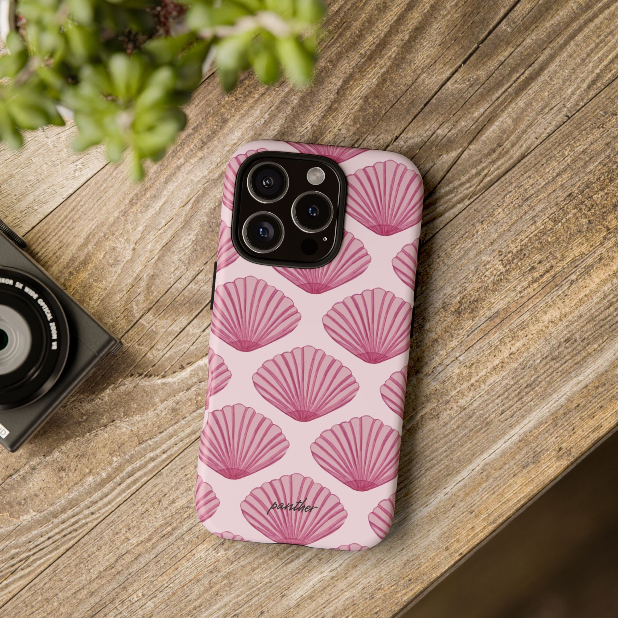Coastal Shells
