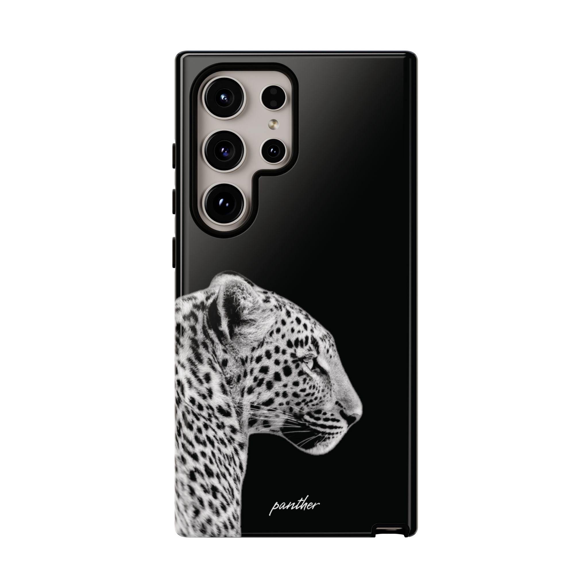 Leo V2