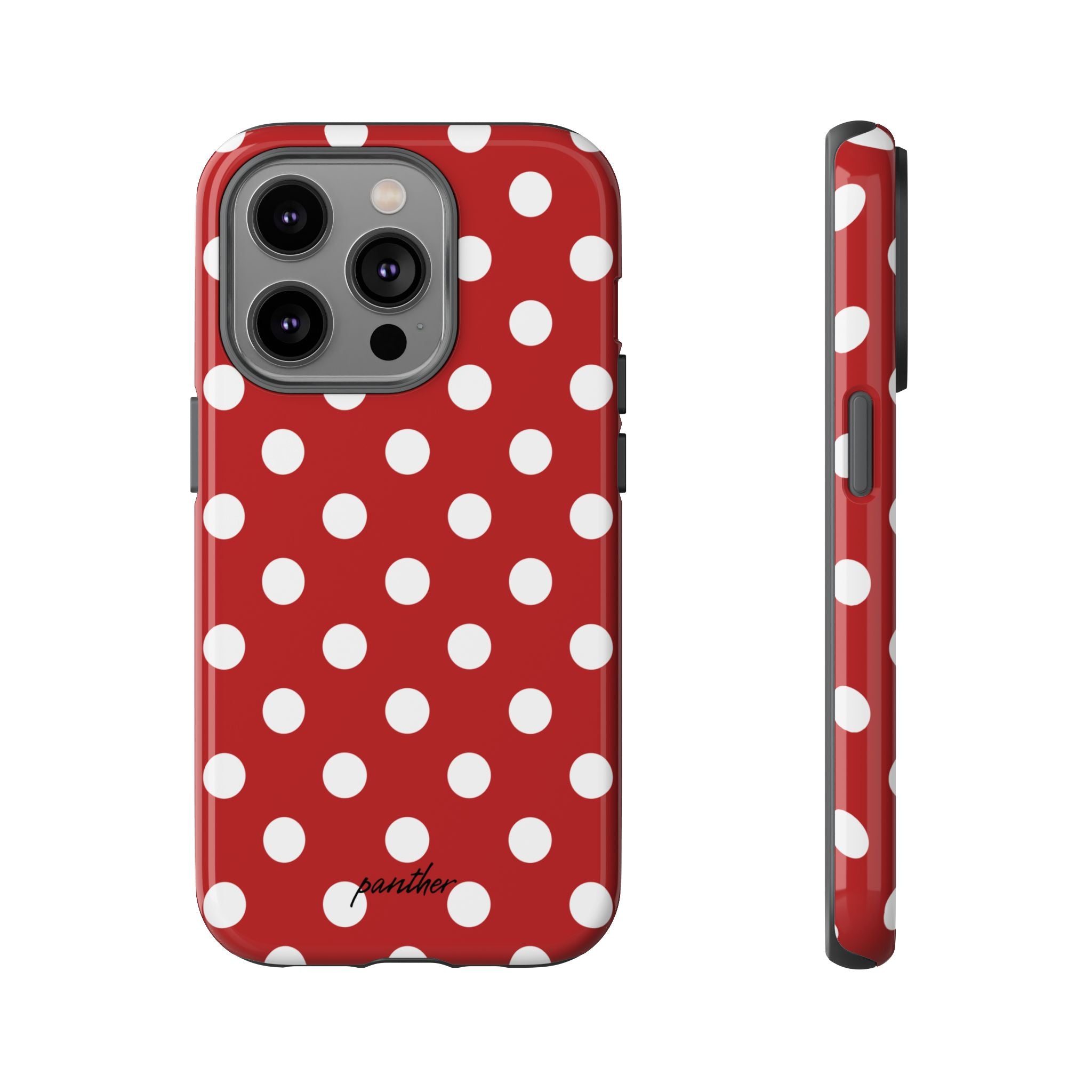 Ladybug V4