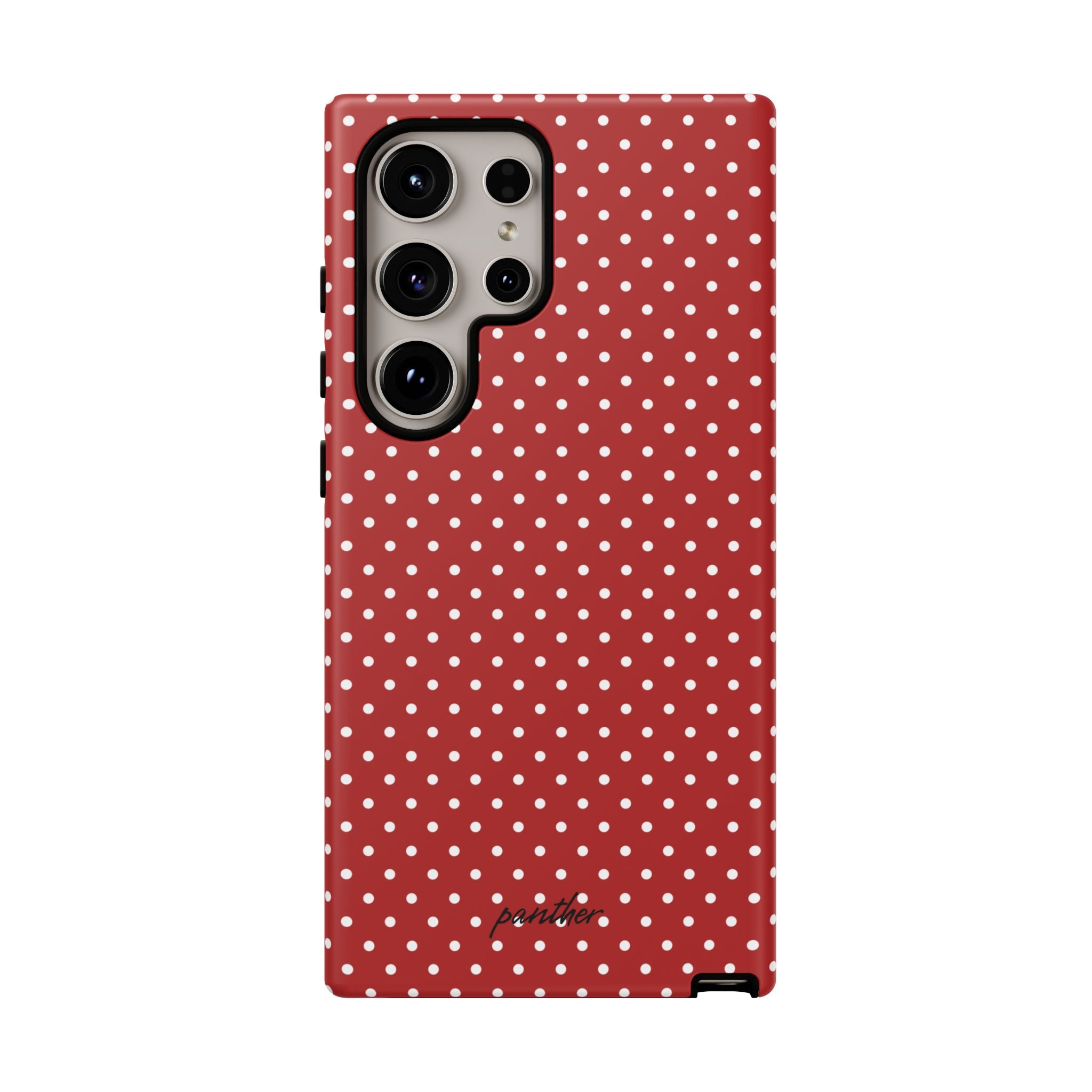 Ladybug V3