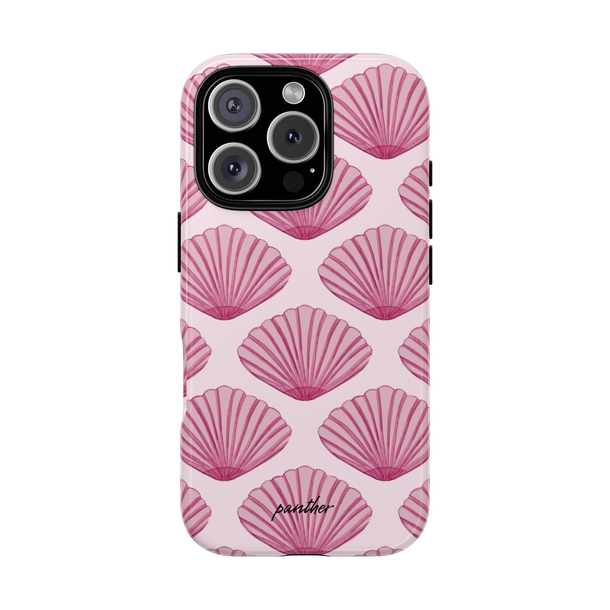 Coastal Shells