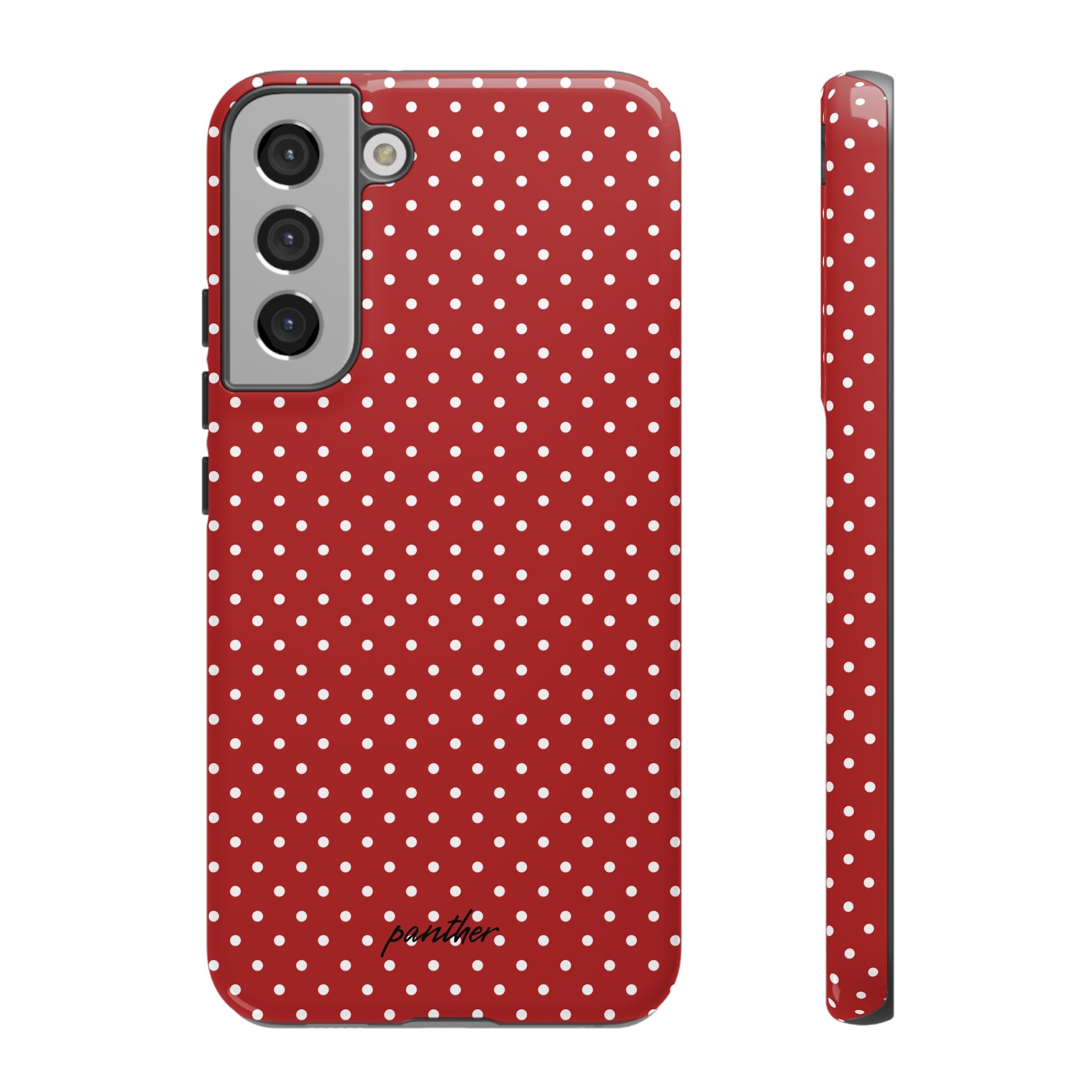 Ladybug V3