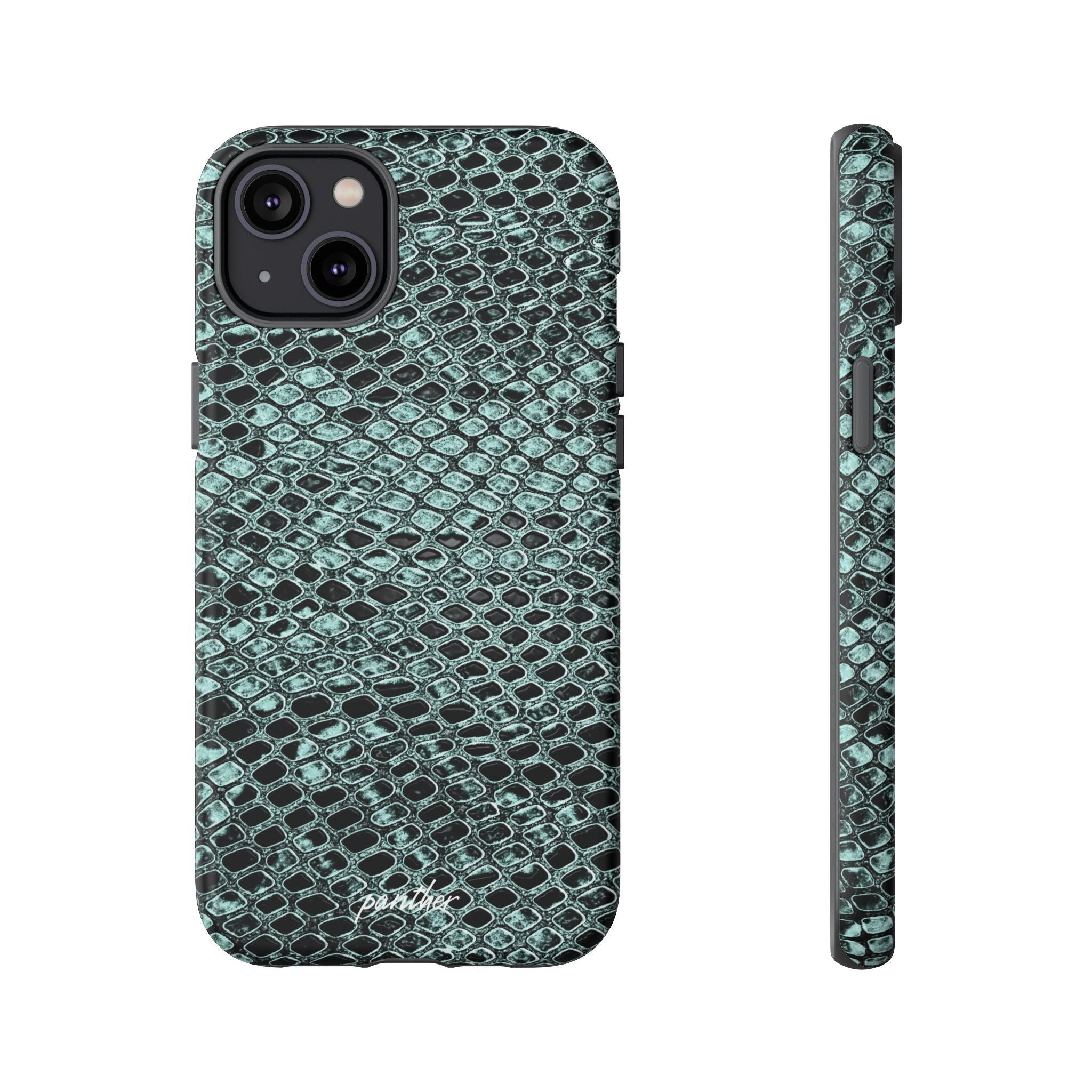 Python