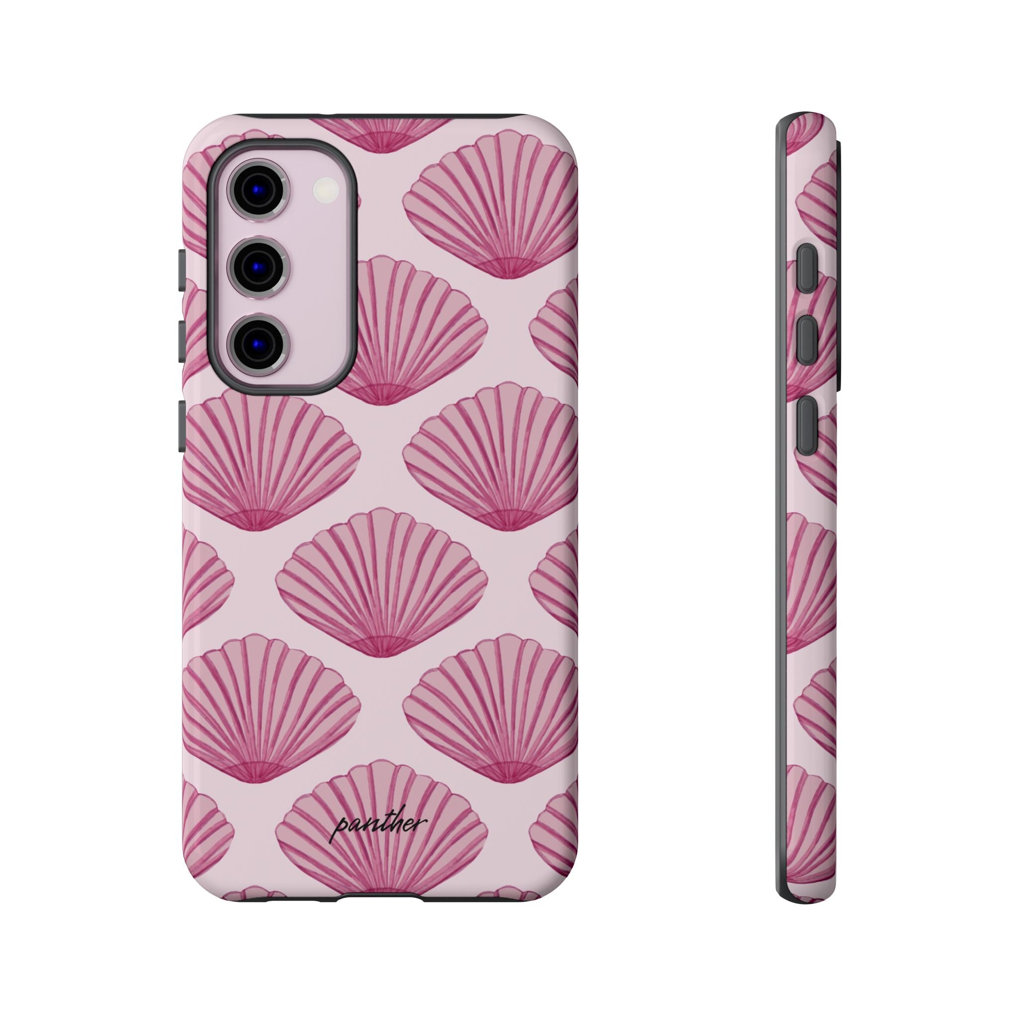 Coastal Shells