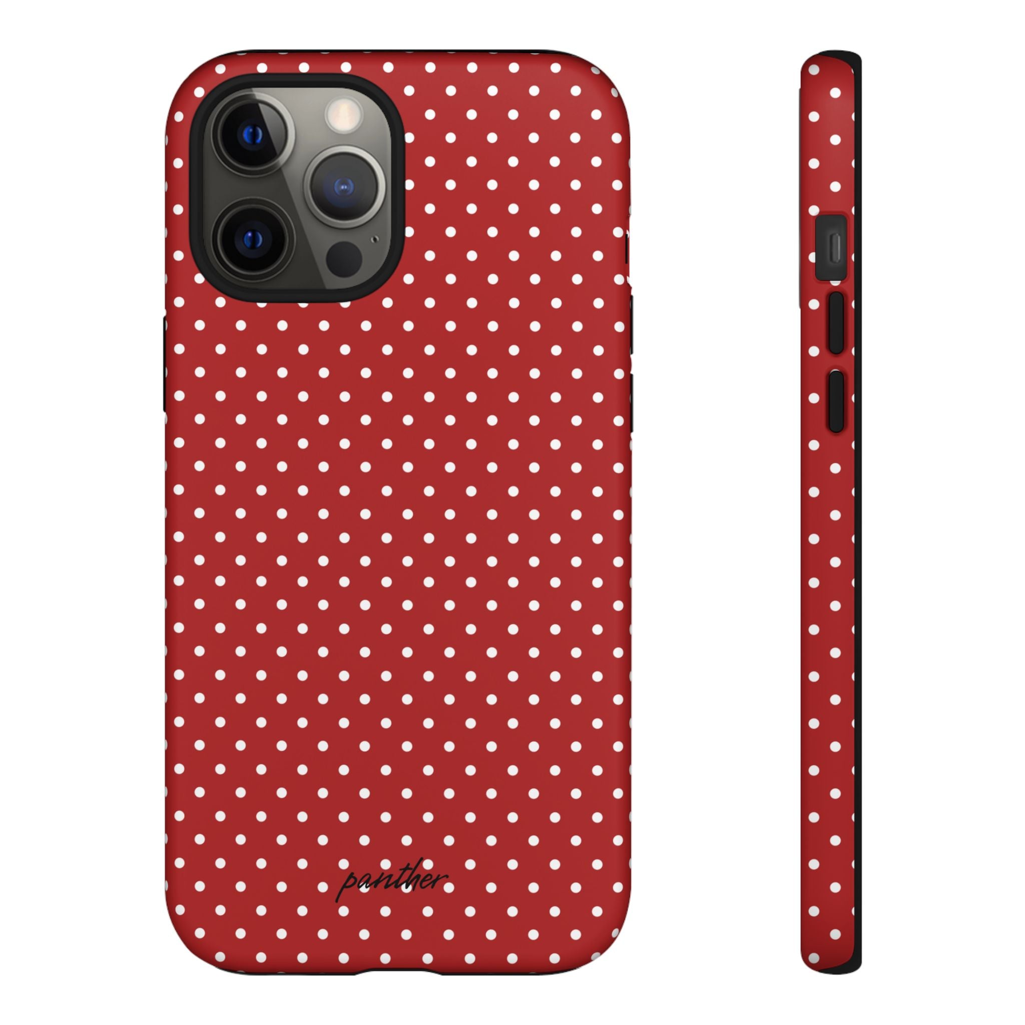 Ladybug V3