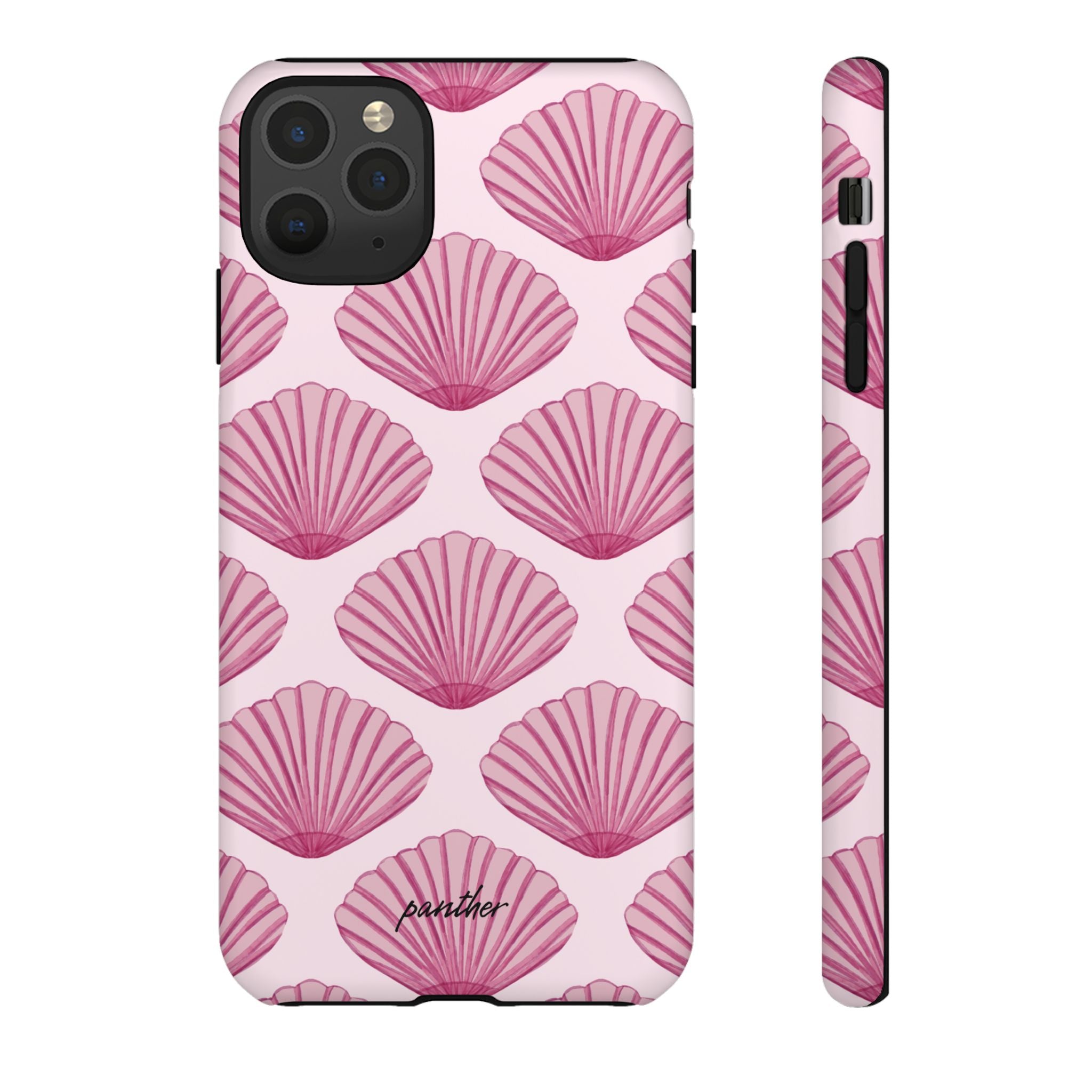 Coastal Shells
