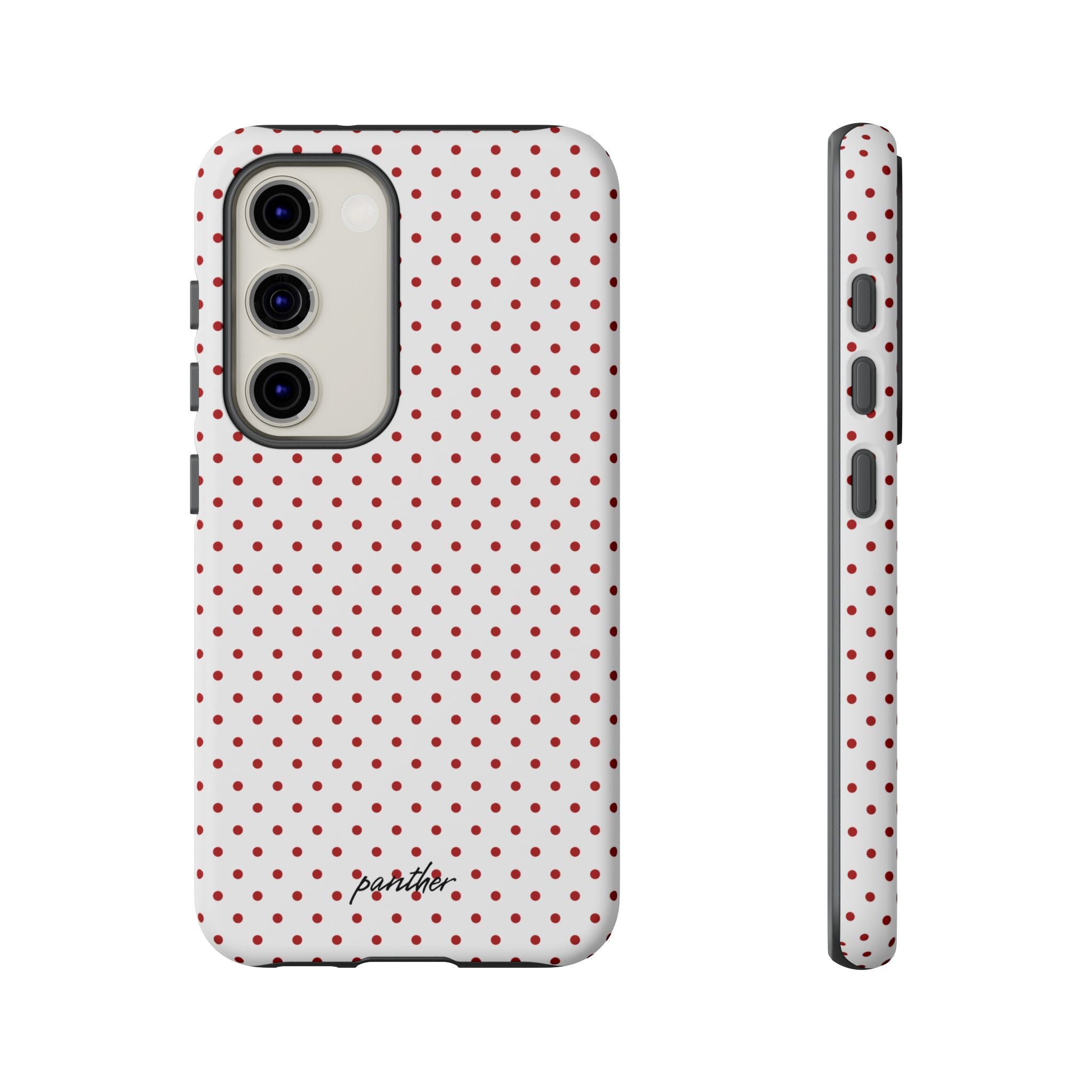 Ladybug V2