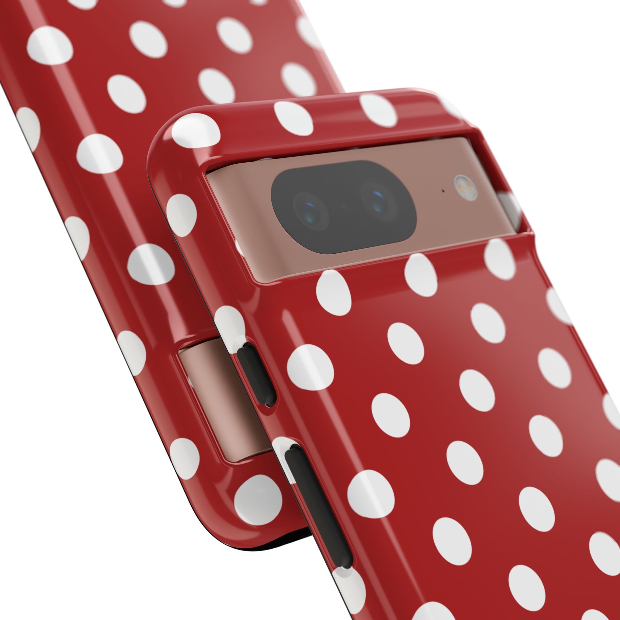 Ladybug V4