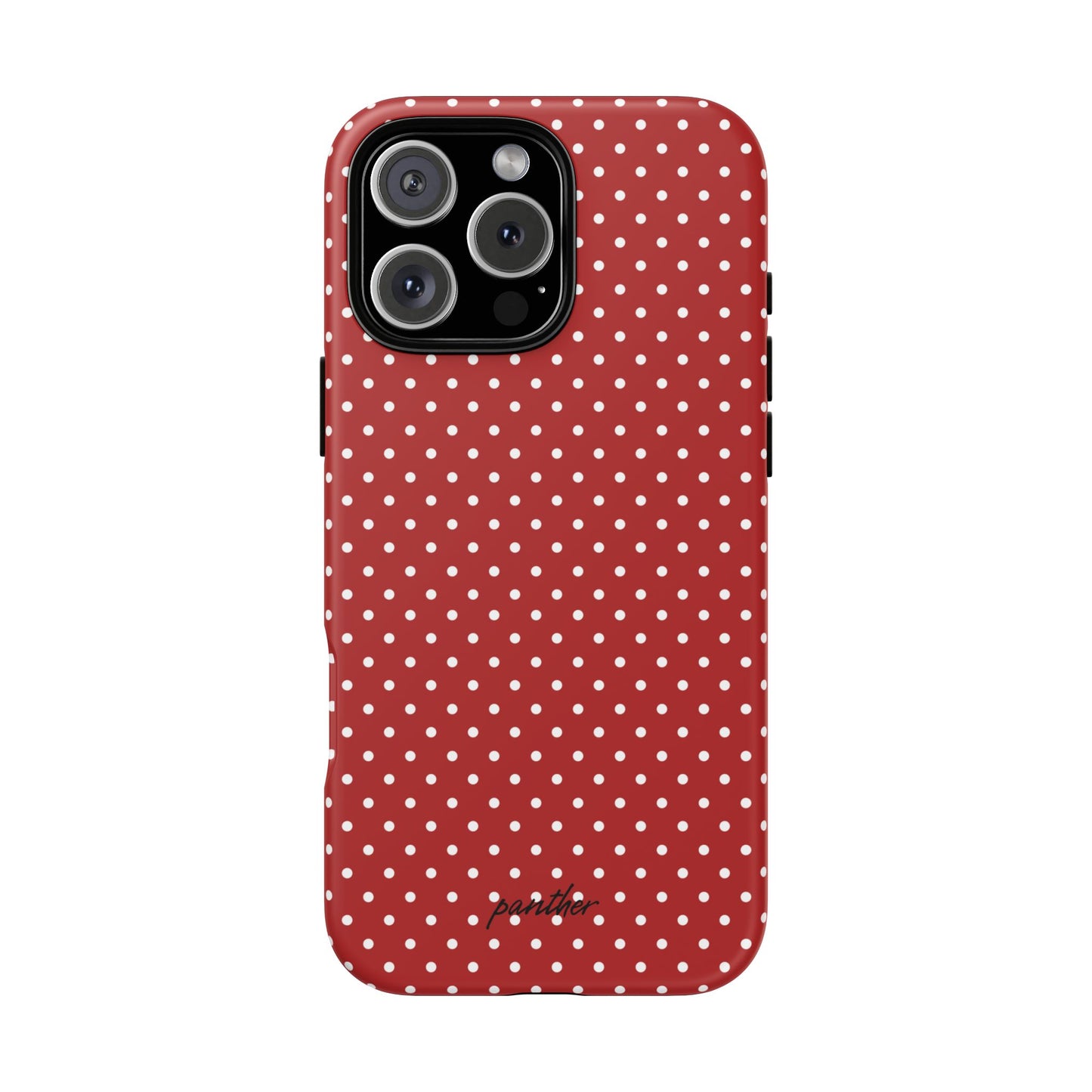Ladybug V3