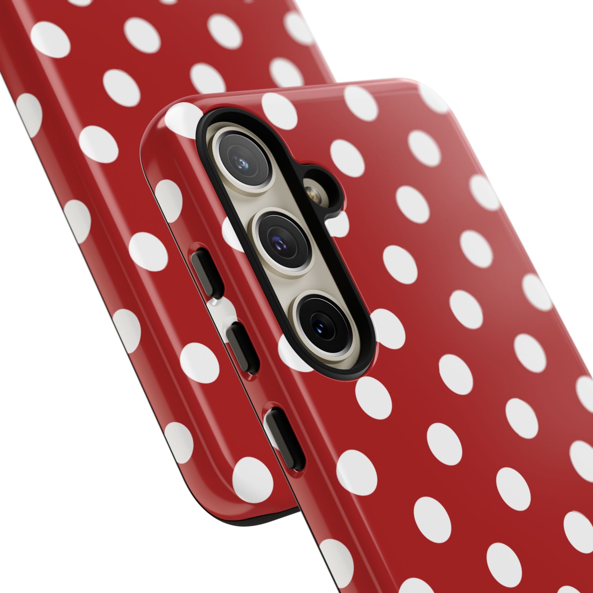 Ladybug V4