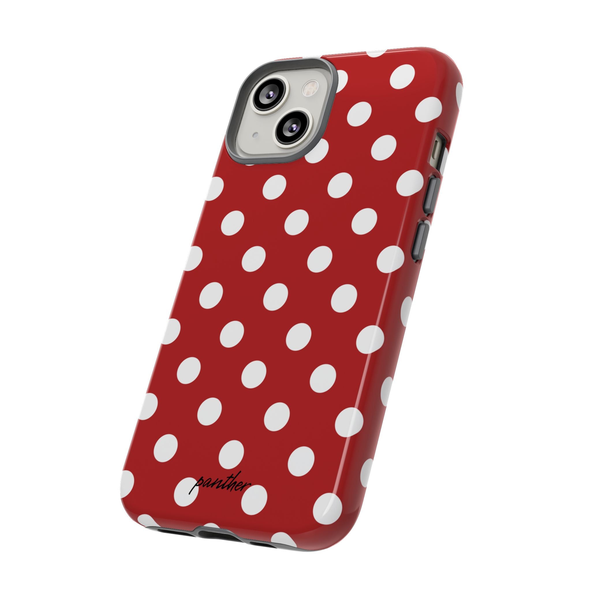 Ladybug V4