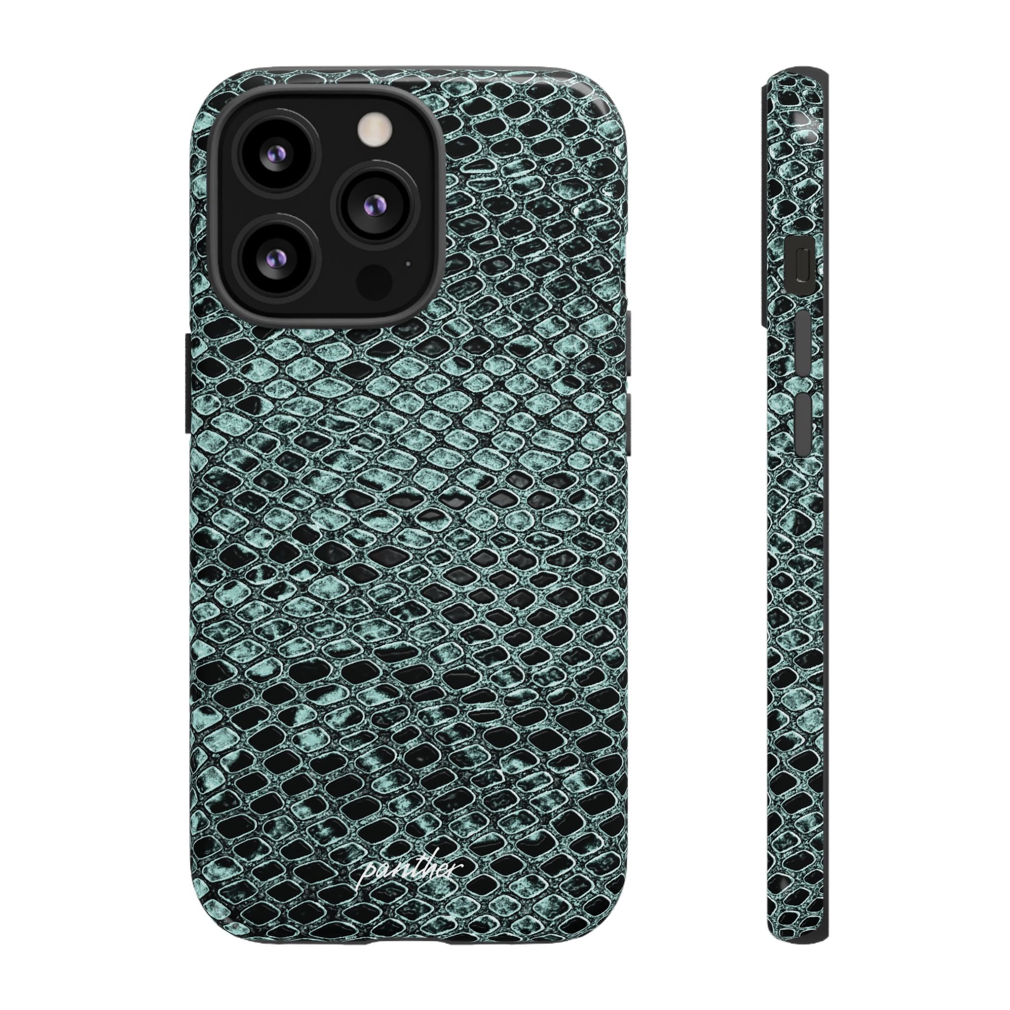 Python