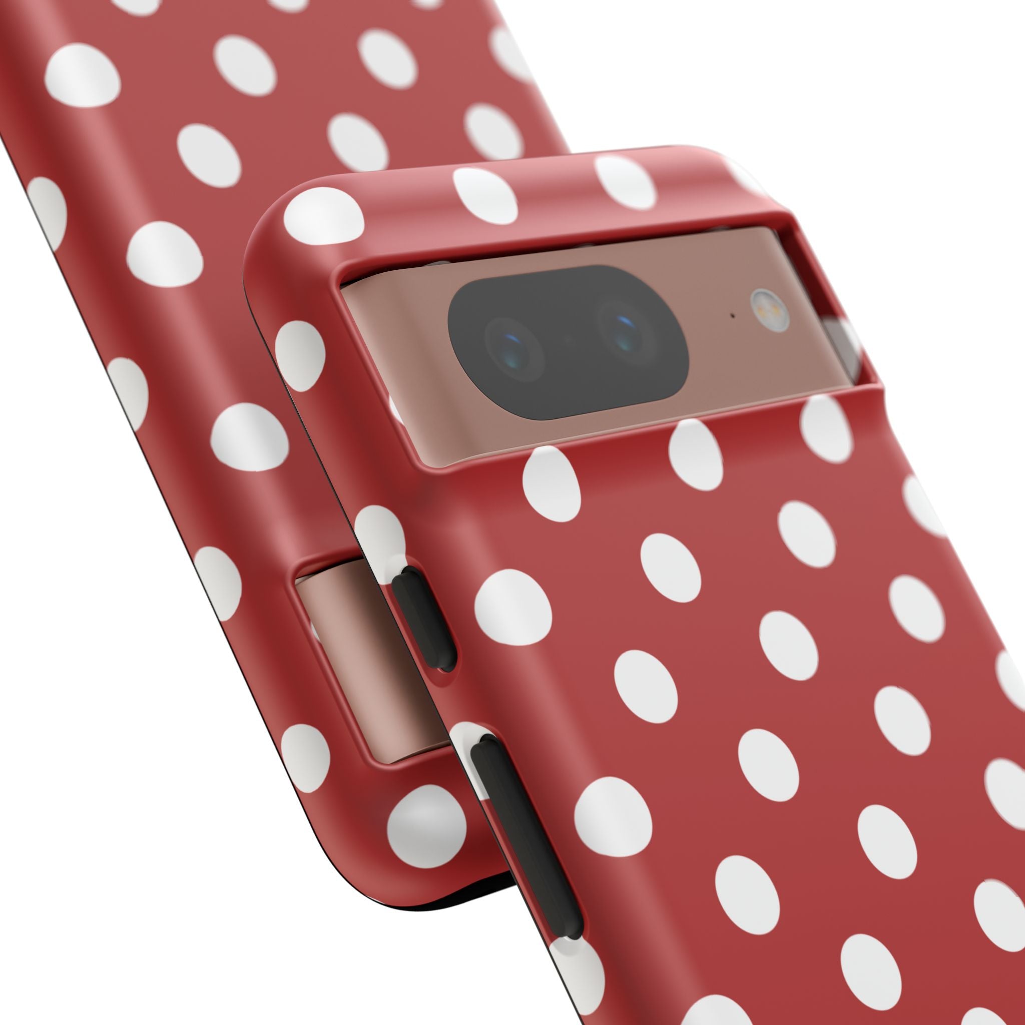 Ladybug V4