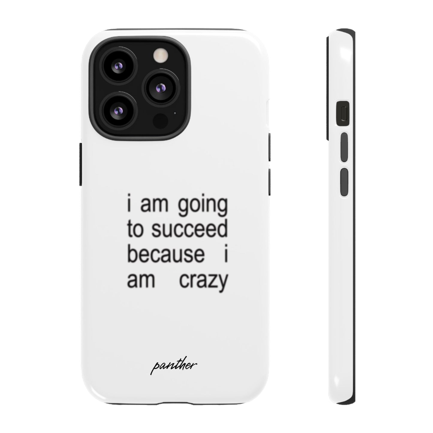 I Am Going To Succeed Because I Am Crazy