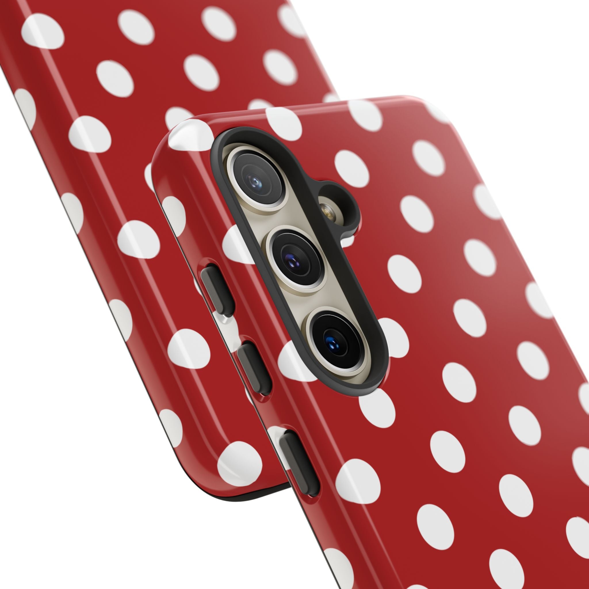 Ladybug V4