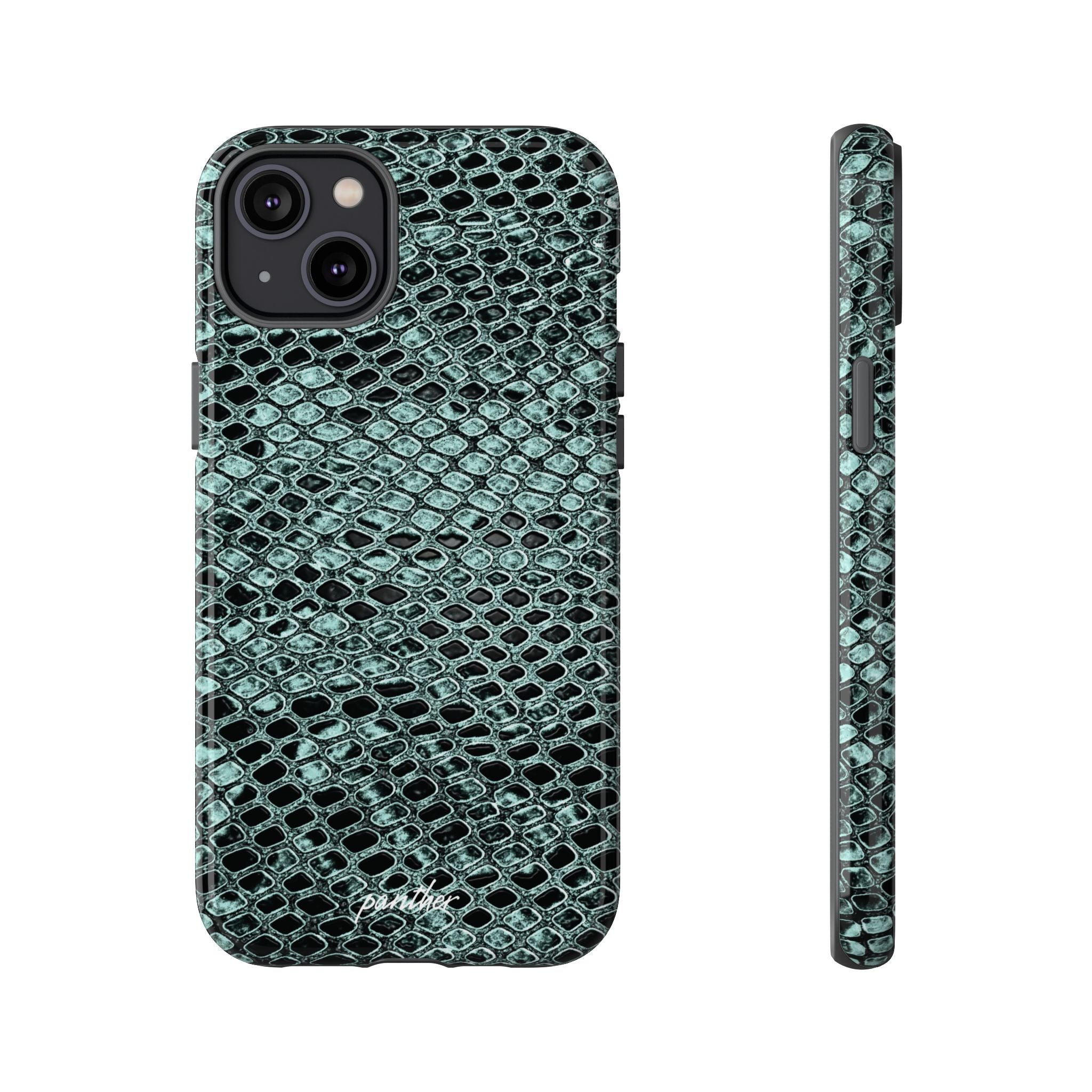 Python