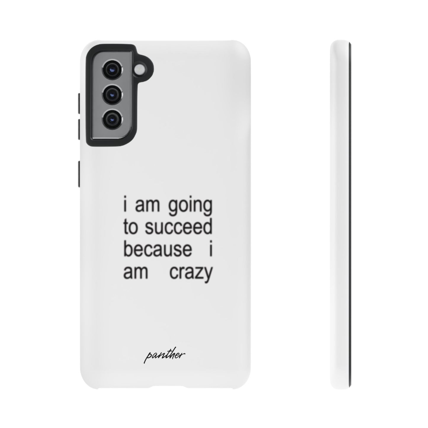 I Am Going To Succeed Because I Am Crazy