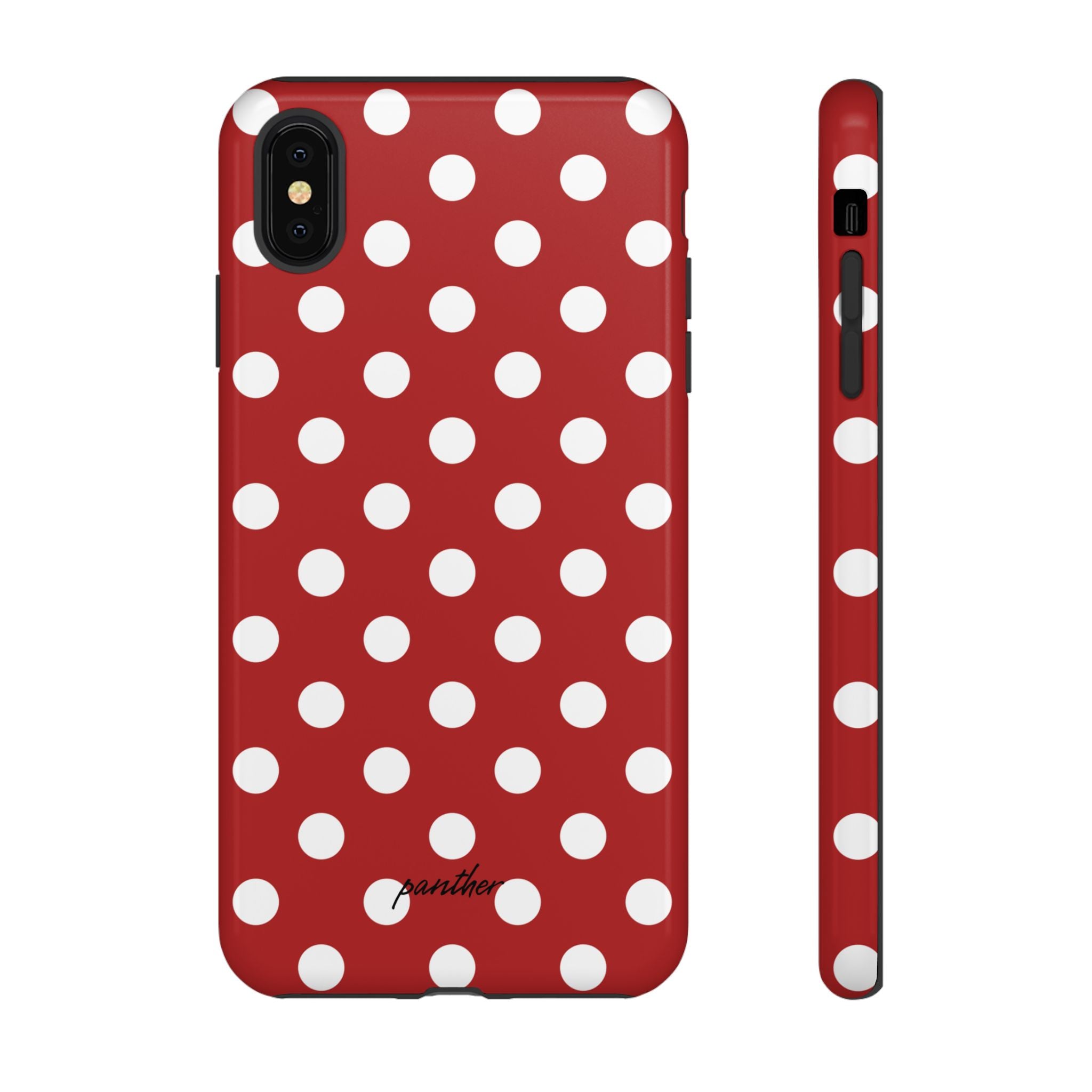 Ladybug V4