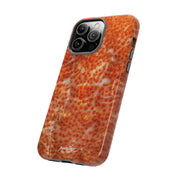 Reef