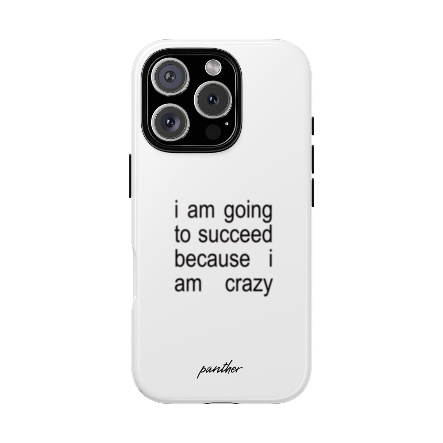 I Am Going To Succeed Because I Am Crazy