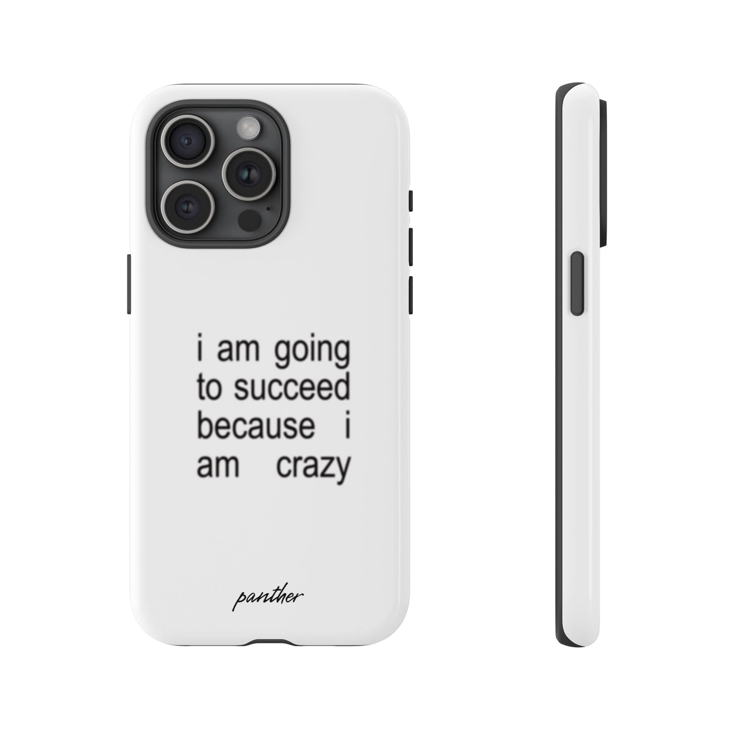 I Am Going To Succeed Because I Am Crazy