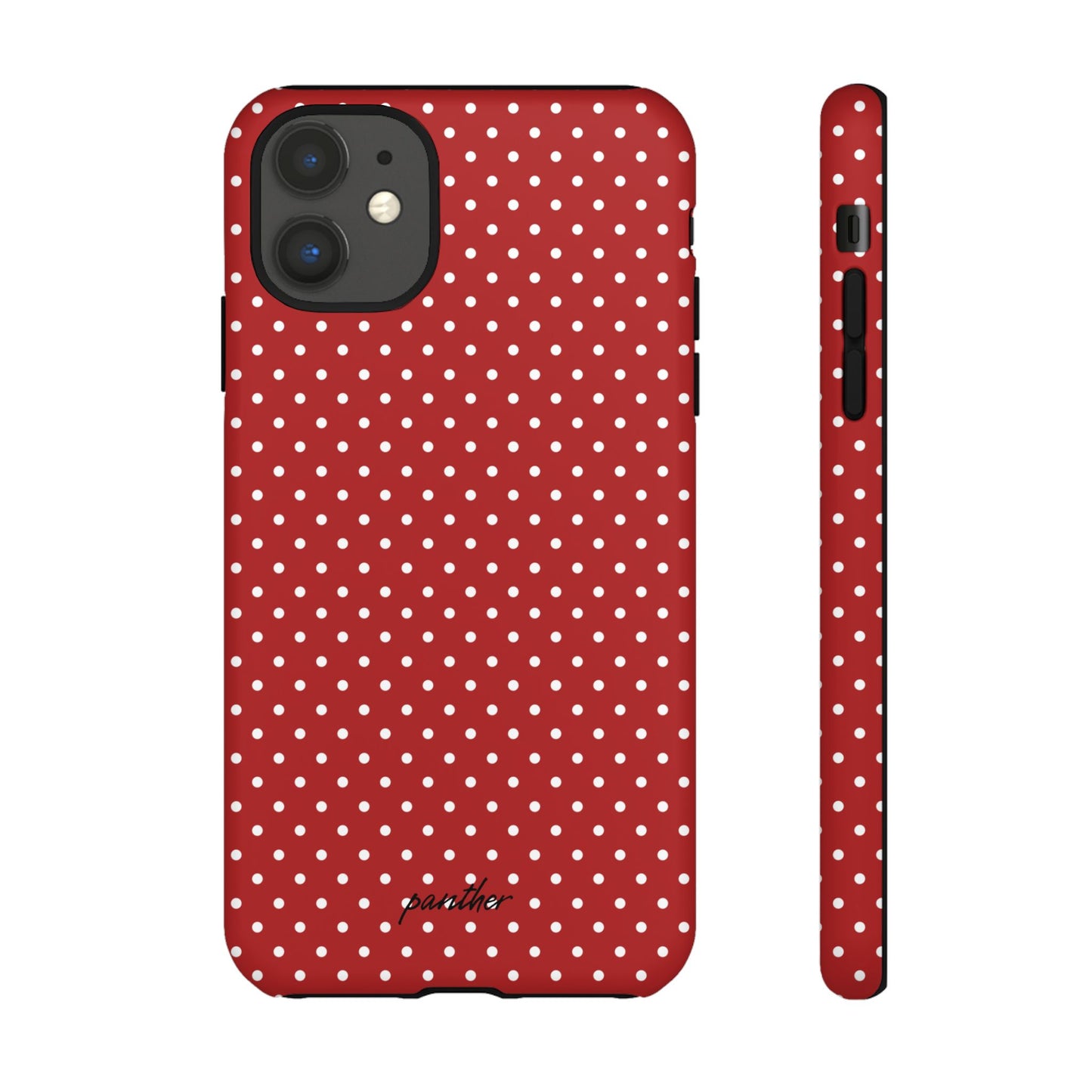 Ladybug V3