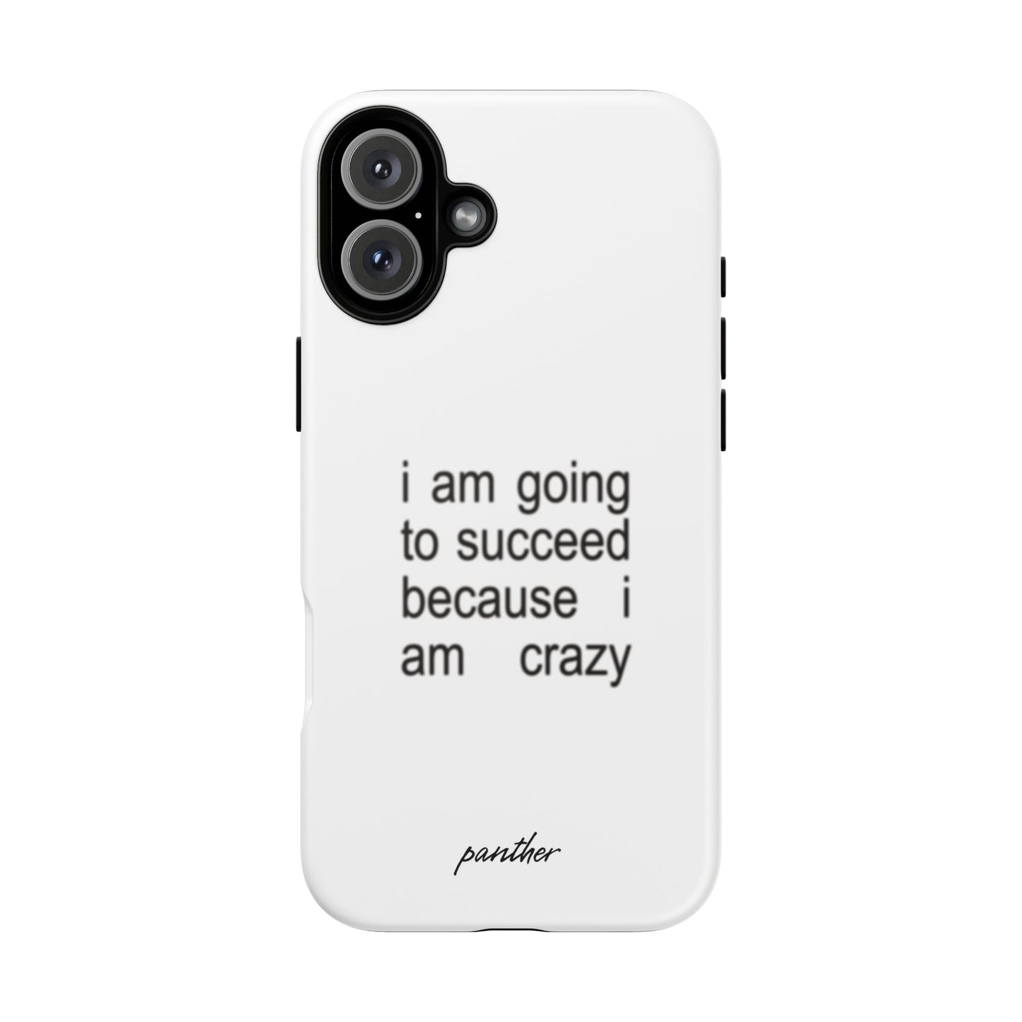 I Am Going To Succeed Because I Am Crazy