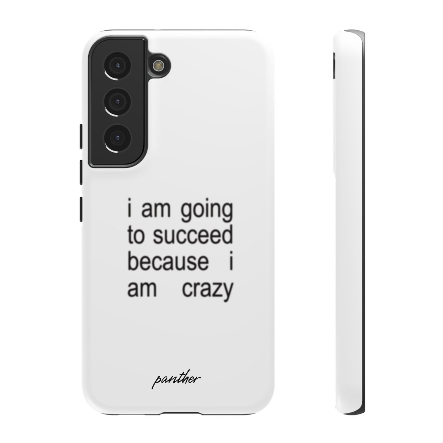 I Am Going To Succeed Because I Am Crazy