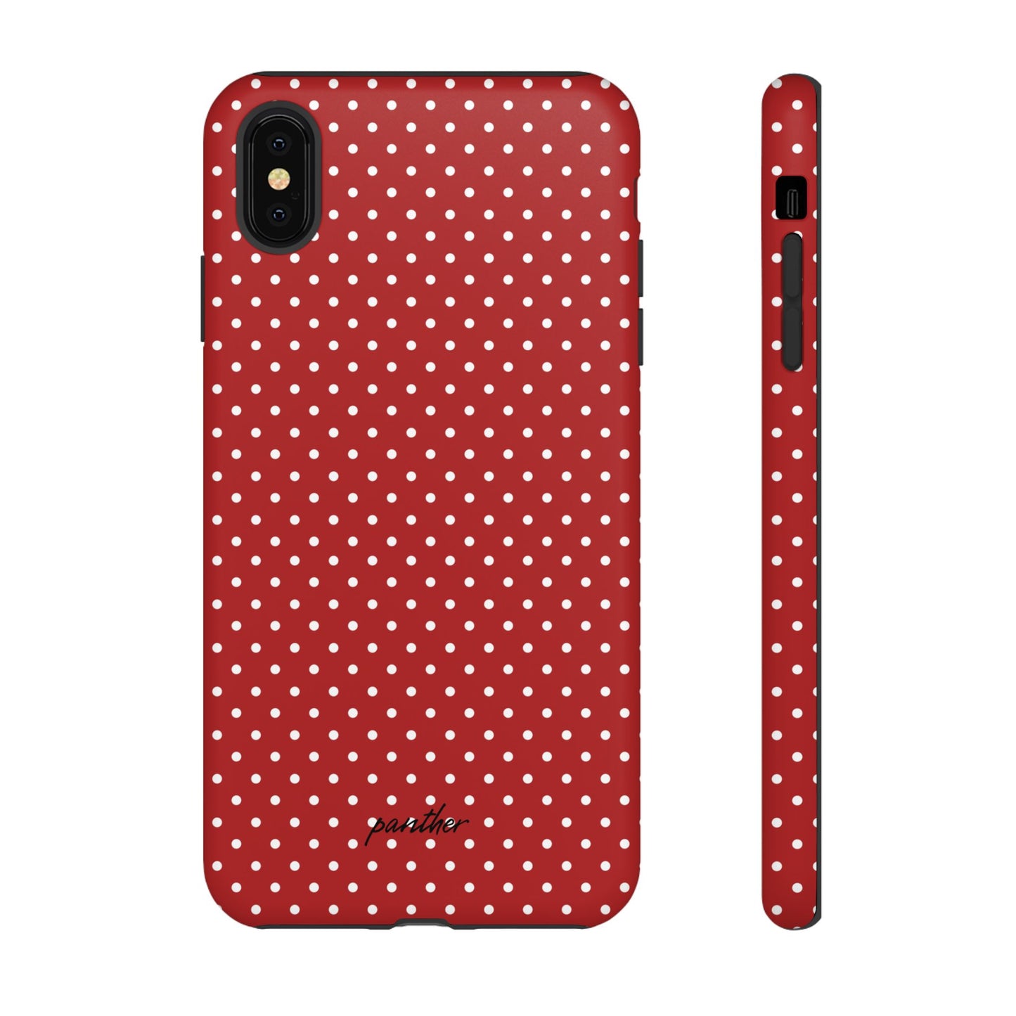 Ladybug V3