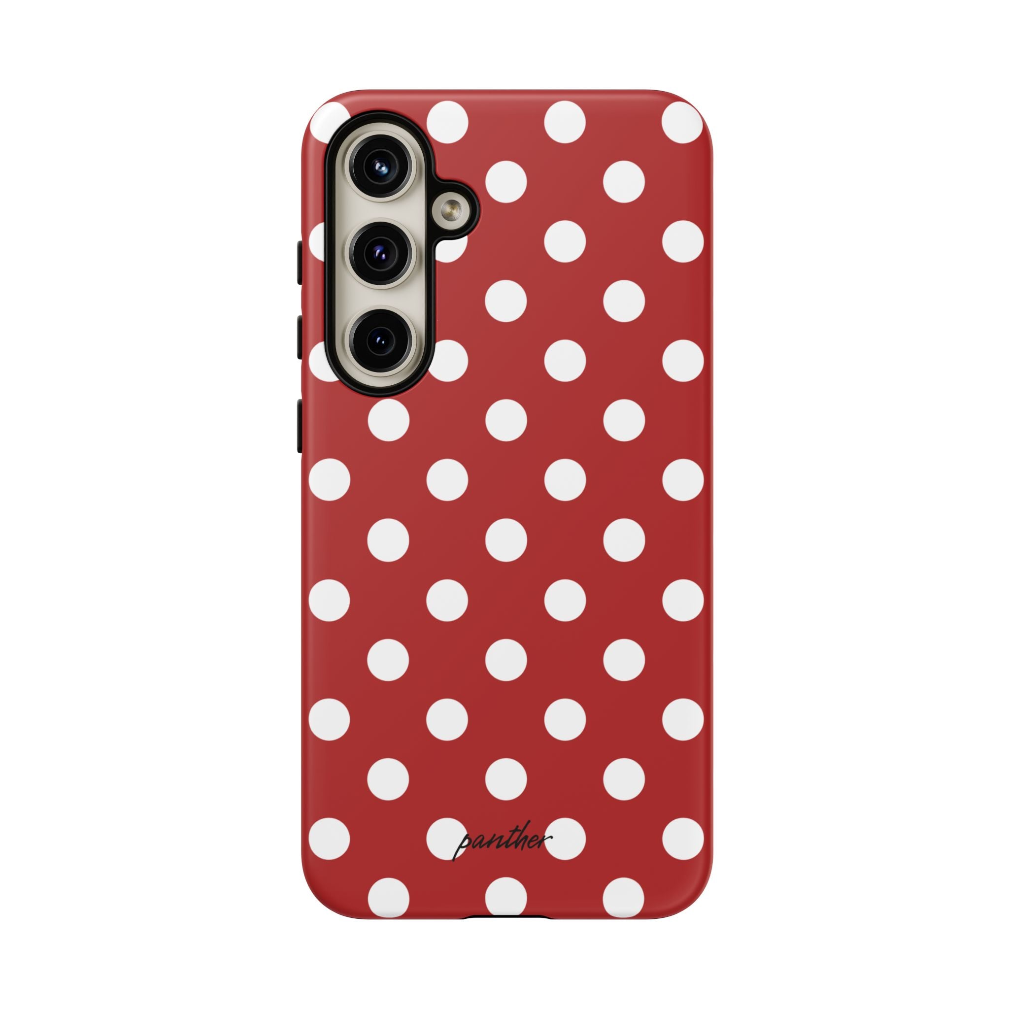 Ladybug V4