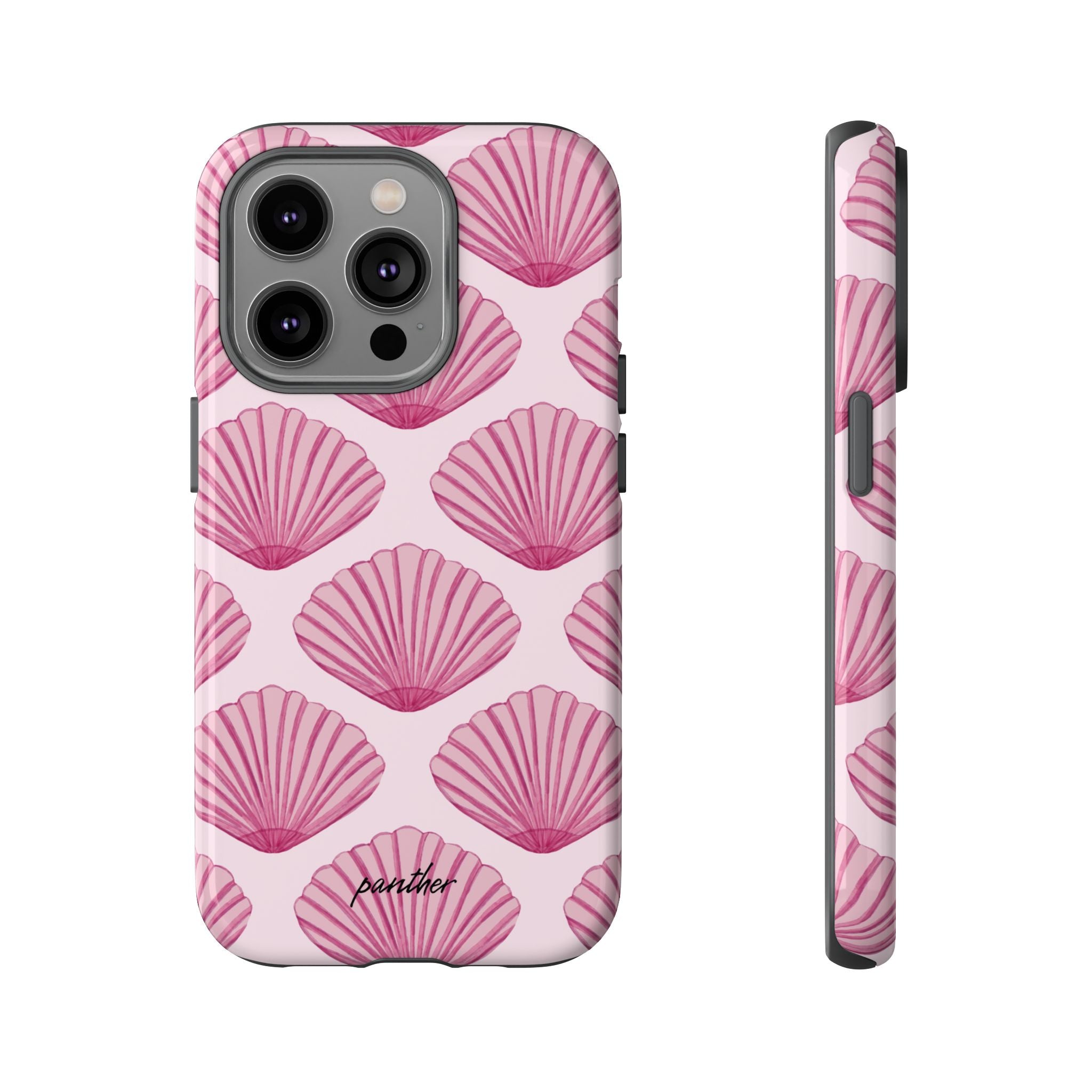 Coastal Shells