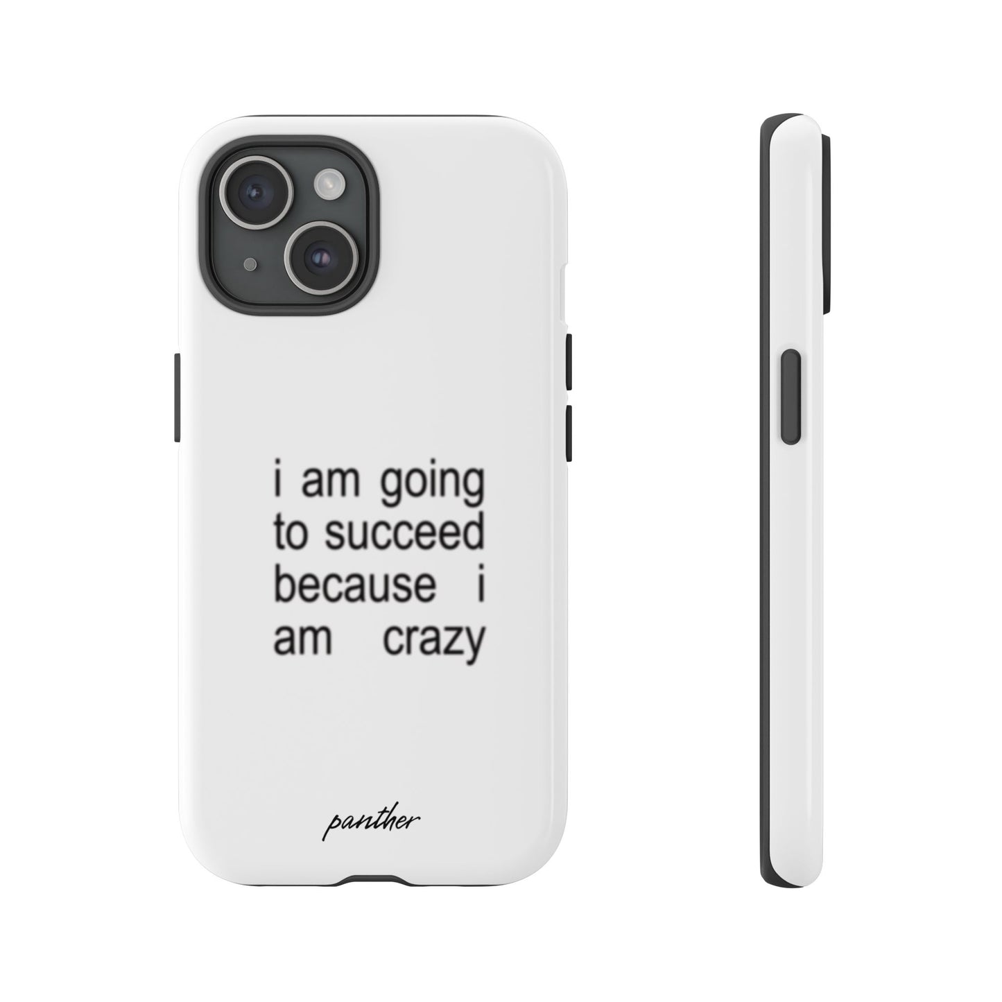 I Am Going To Succeed Because I Am Crazy