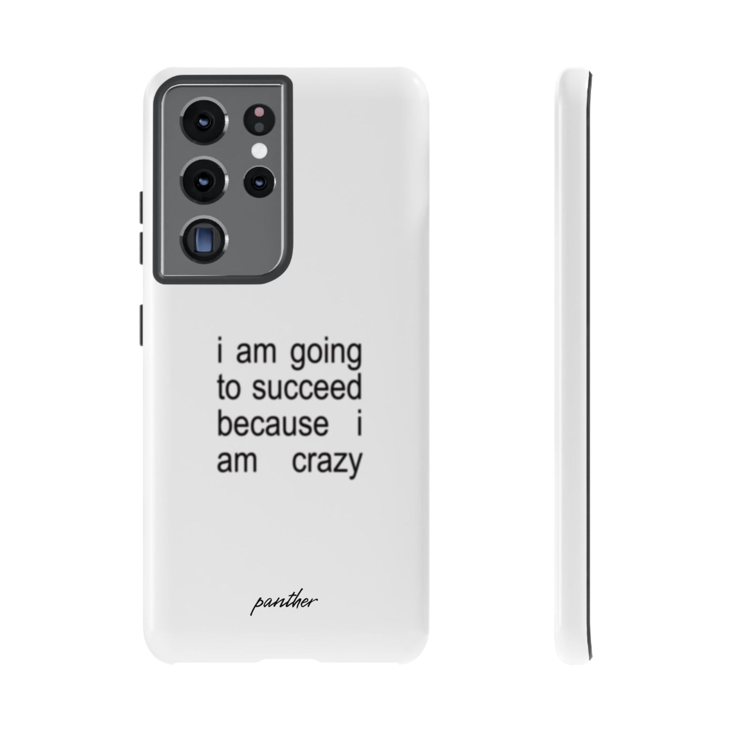 I Am Going To Succeed Because I Am Crazy