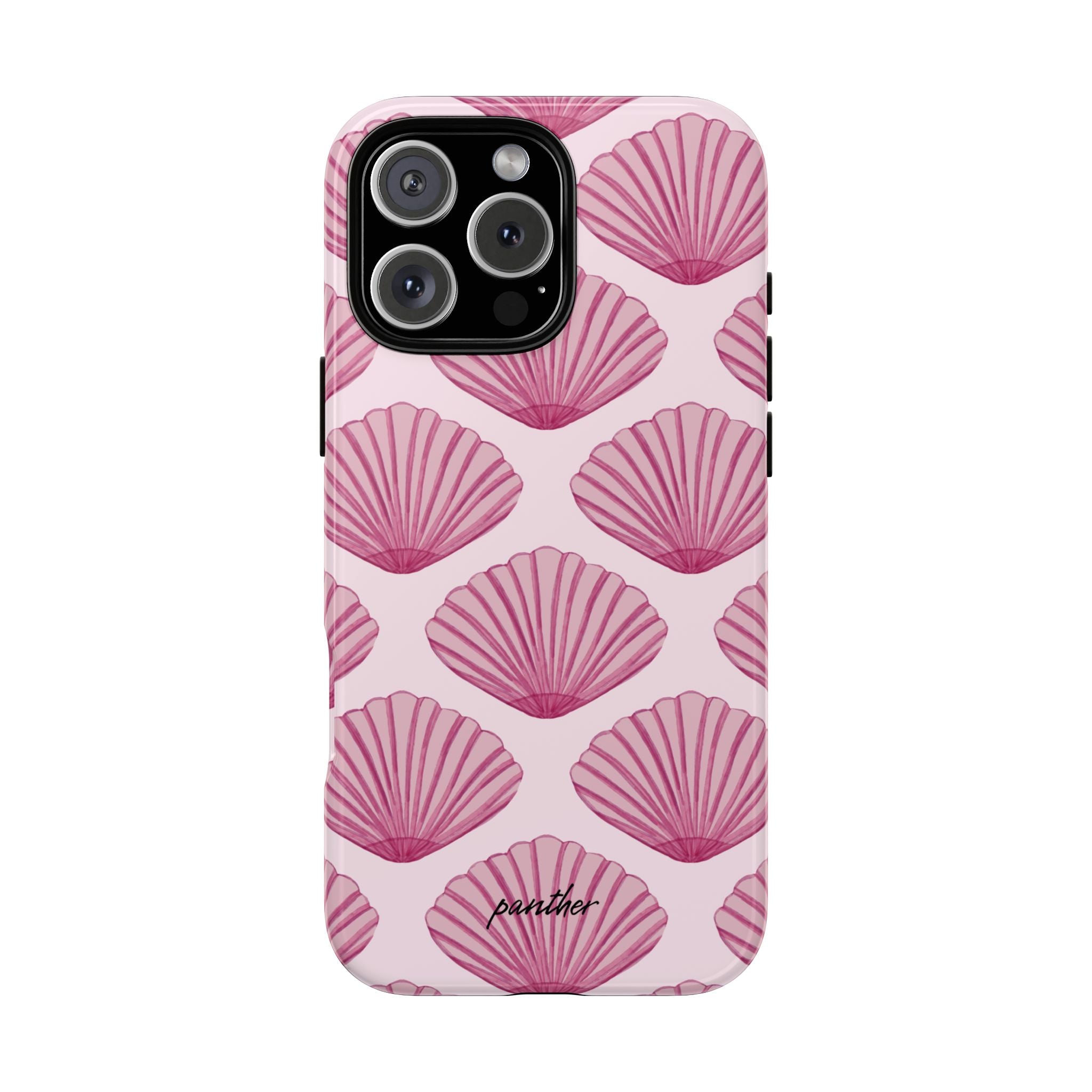 Coastal Shells