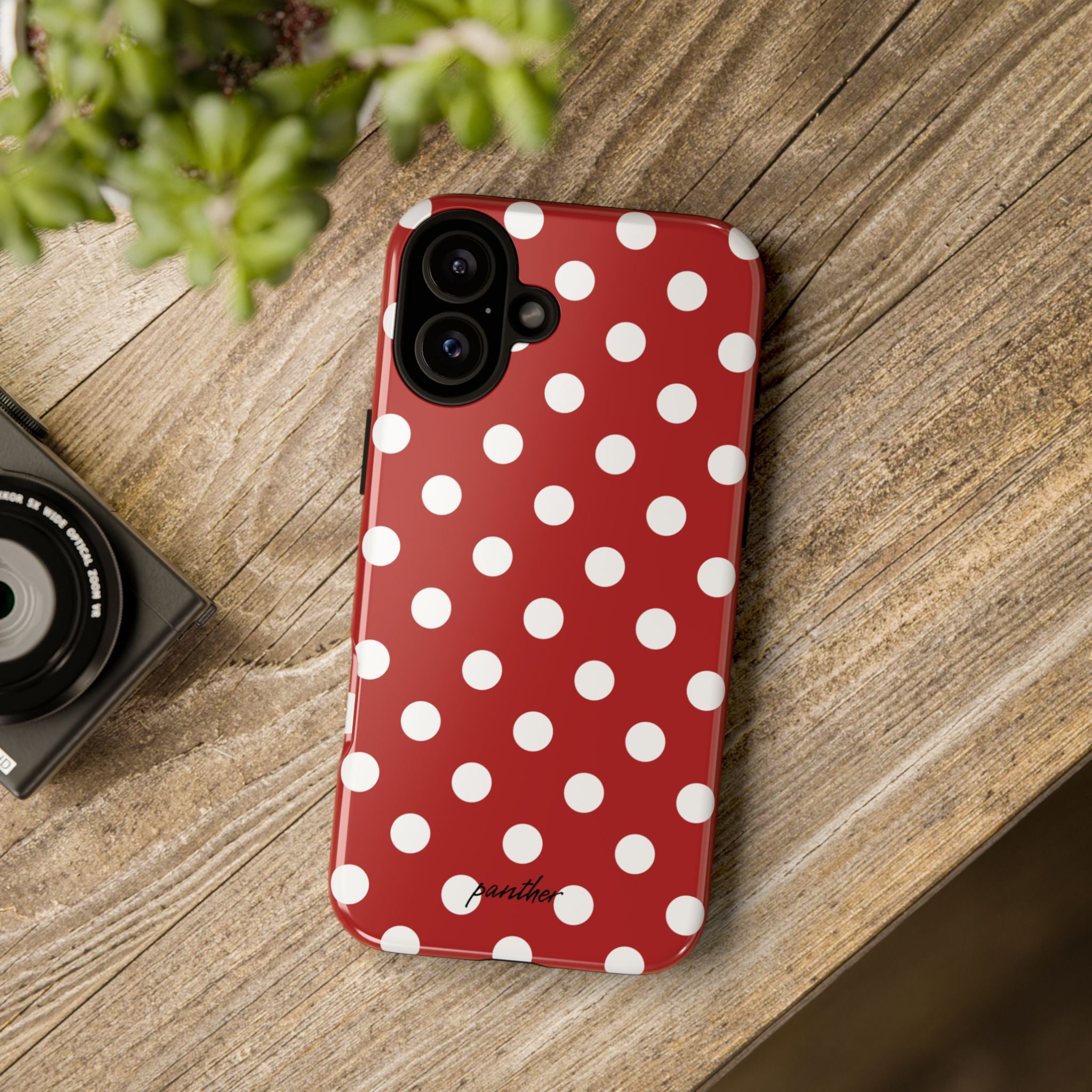 Ladybug V4