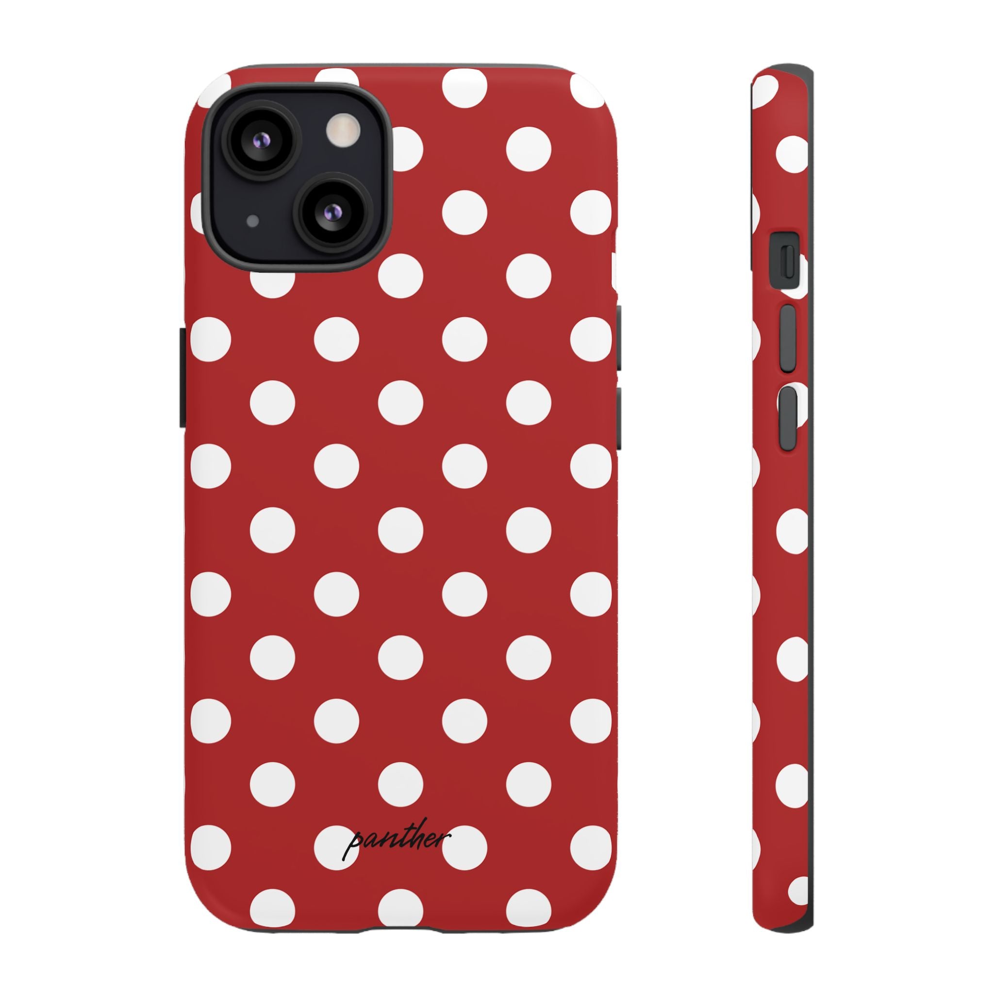 Ladybug V4