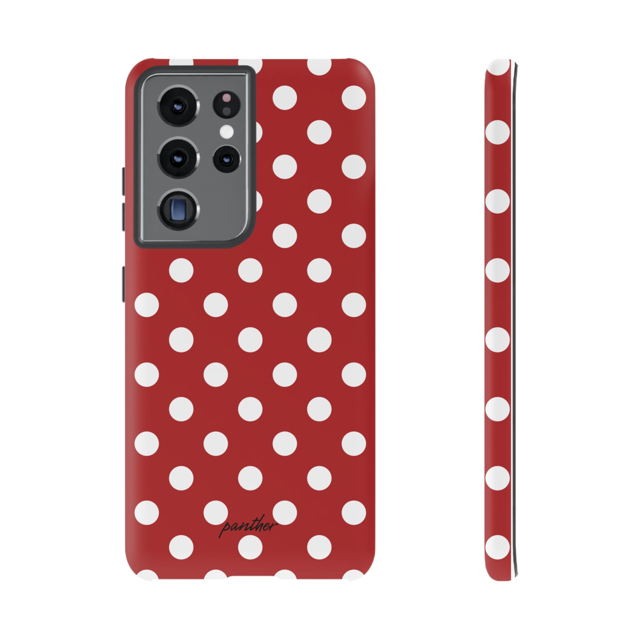 Ladybug V4