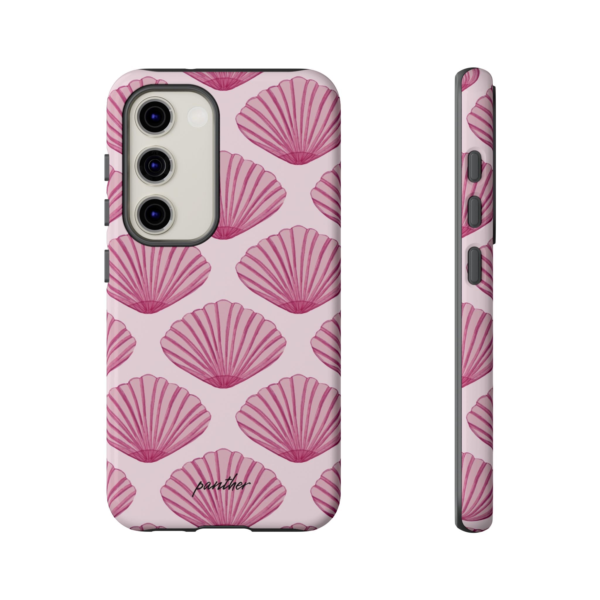 Coastal Shells
