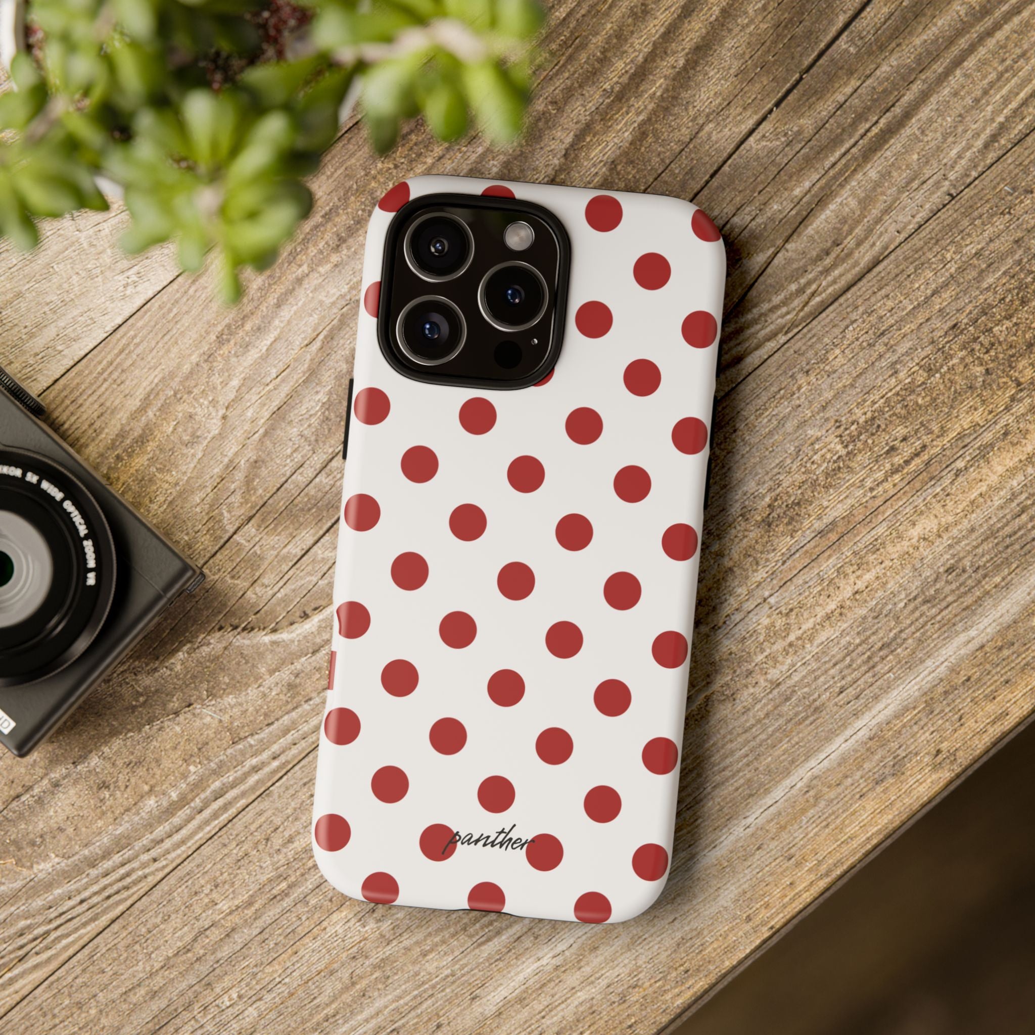Ladybug