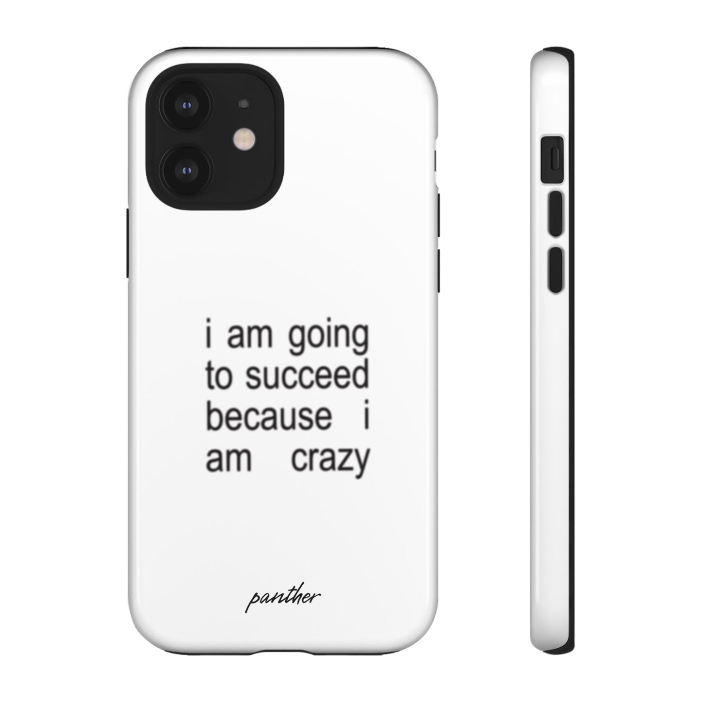 I Am Going To Succeed Because I Am Crazy