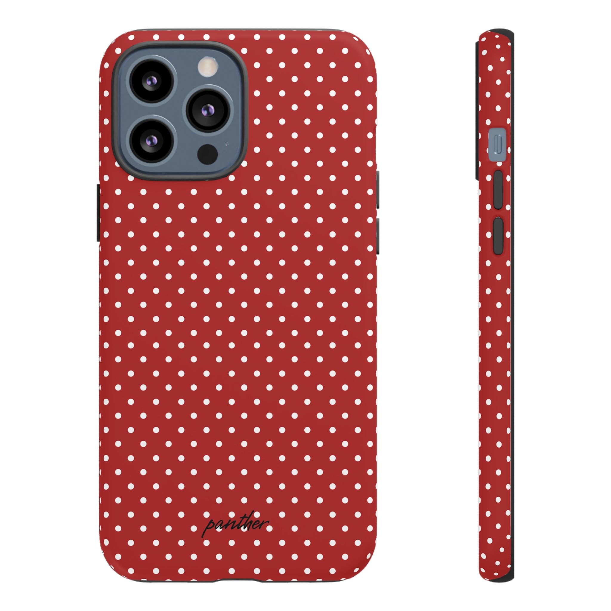 Ladybug V3