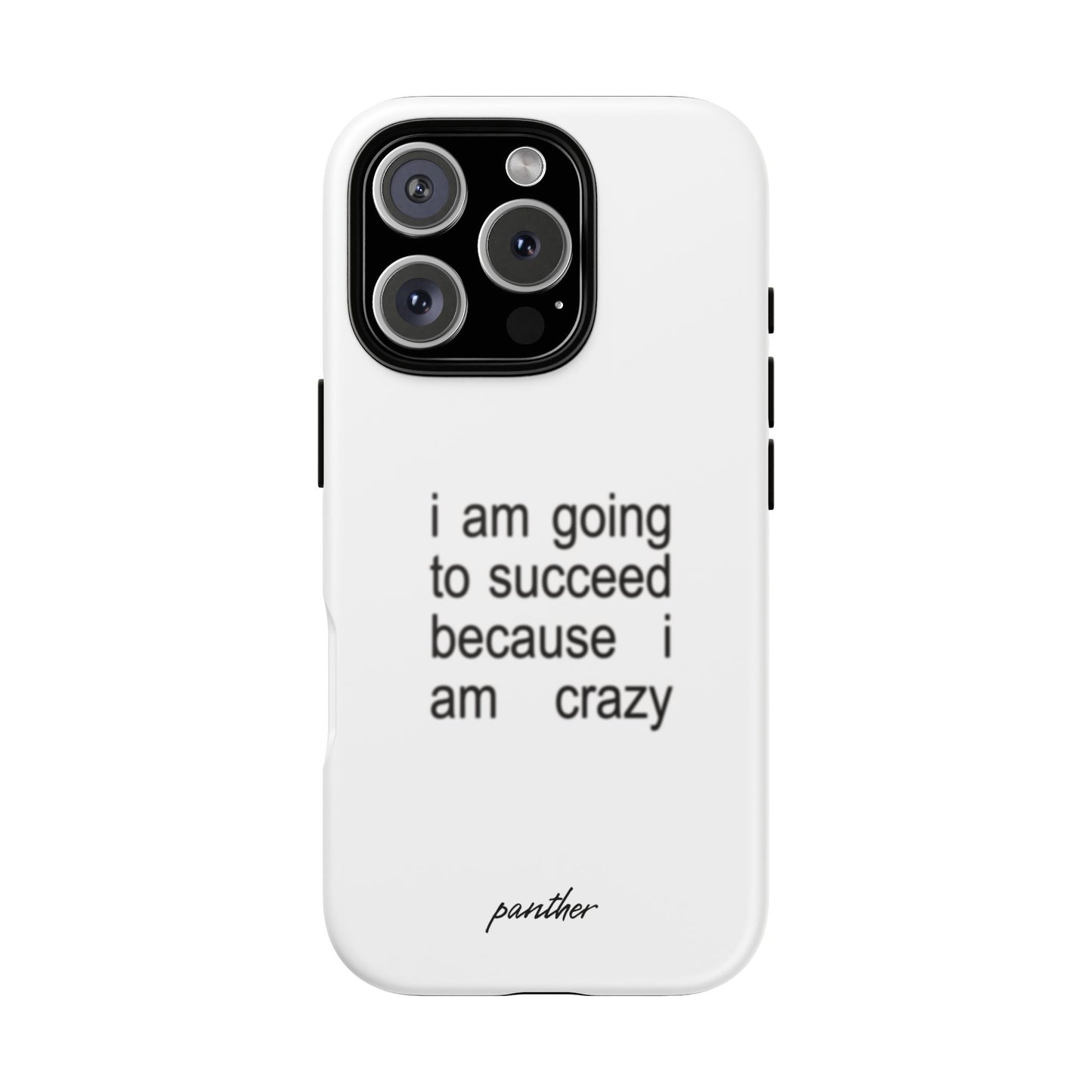 I Am Going To Succeed Because I Am Crazy