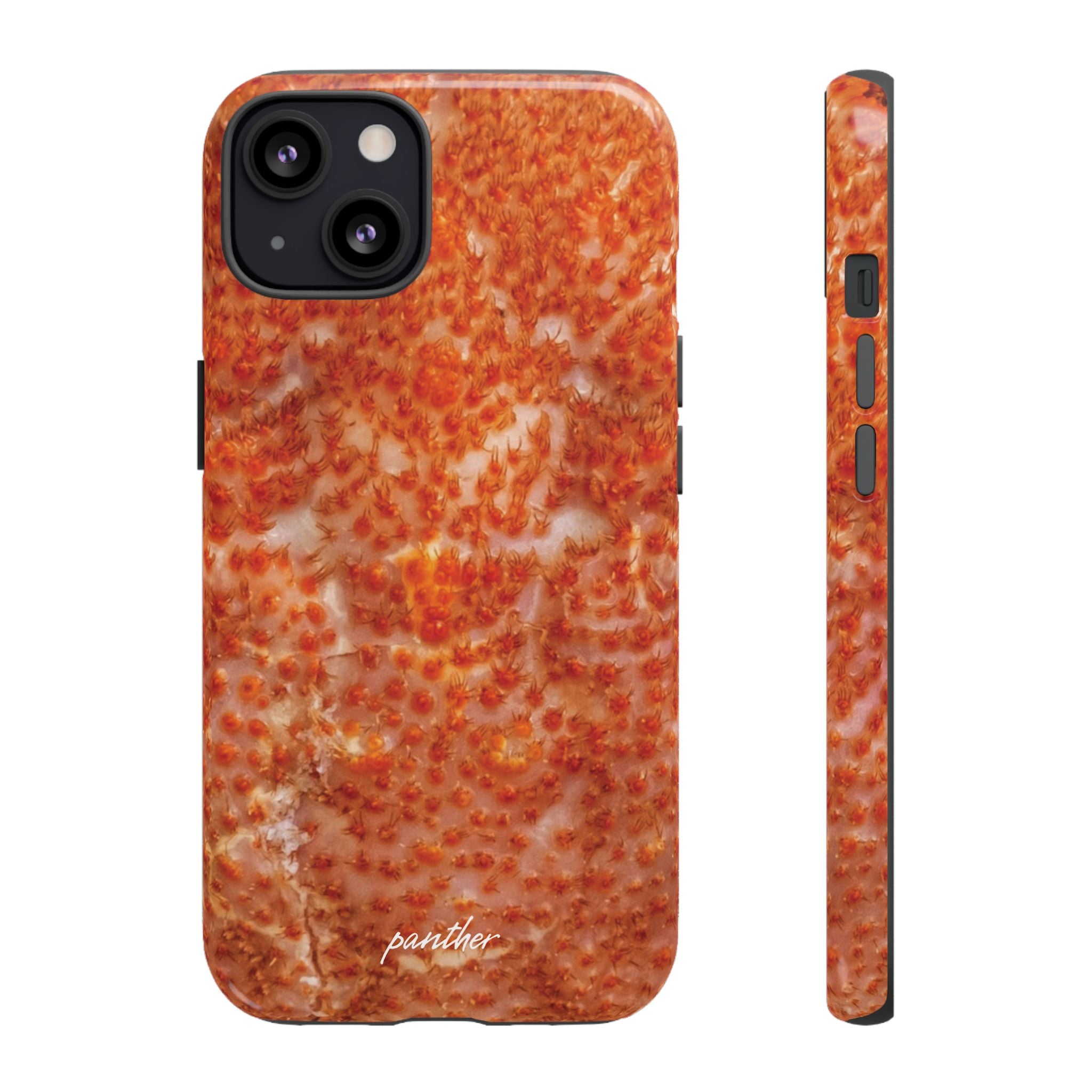 Reef