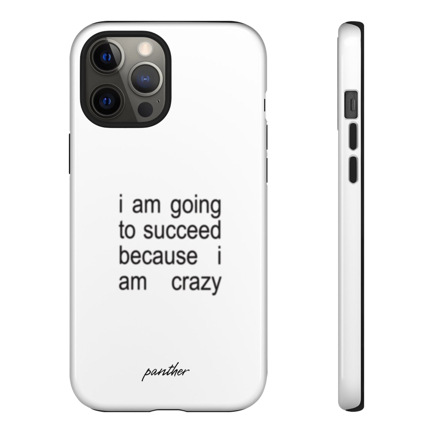 I Am Going To Succeed Because I Am Crazy
