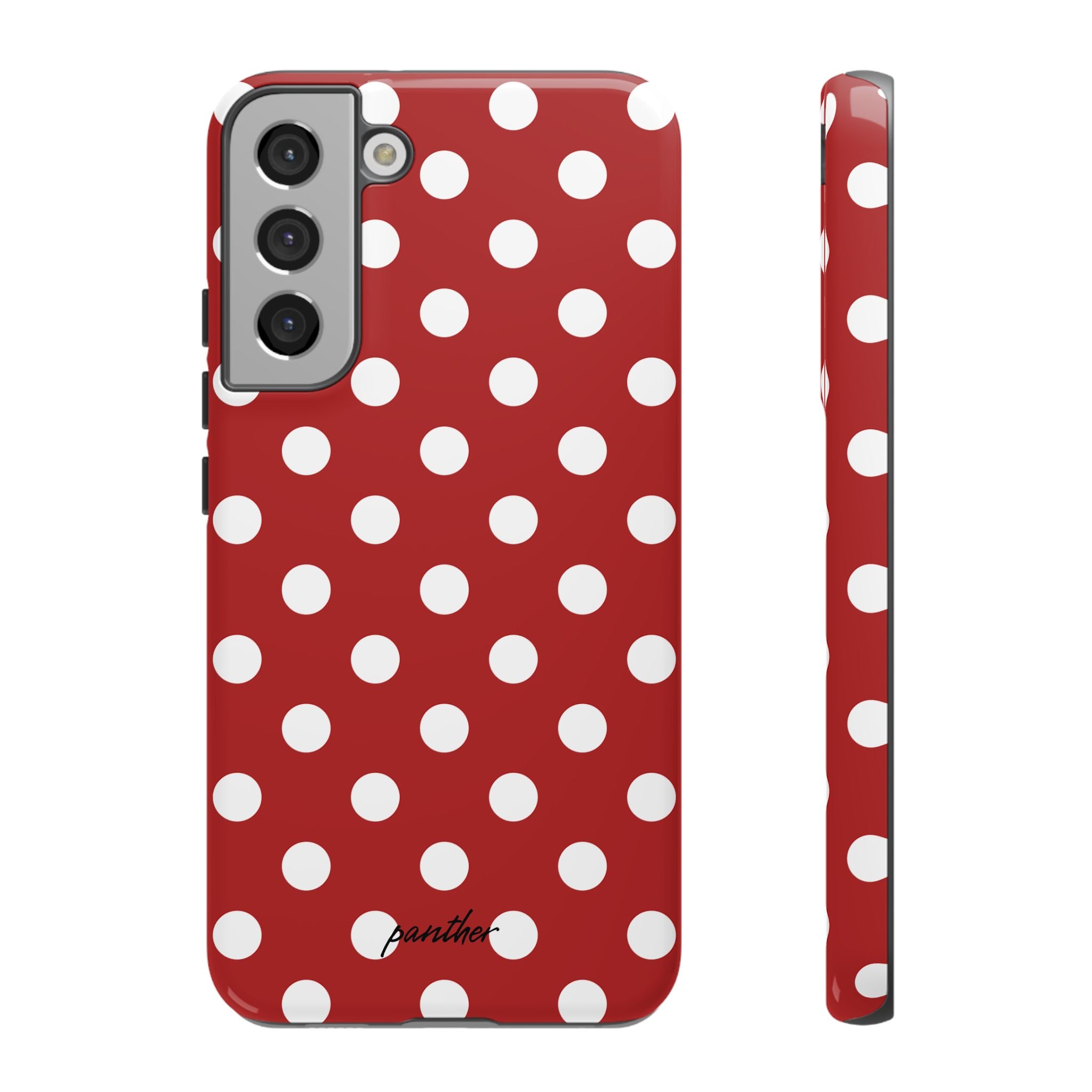 Ladybug V4