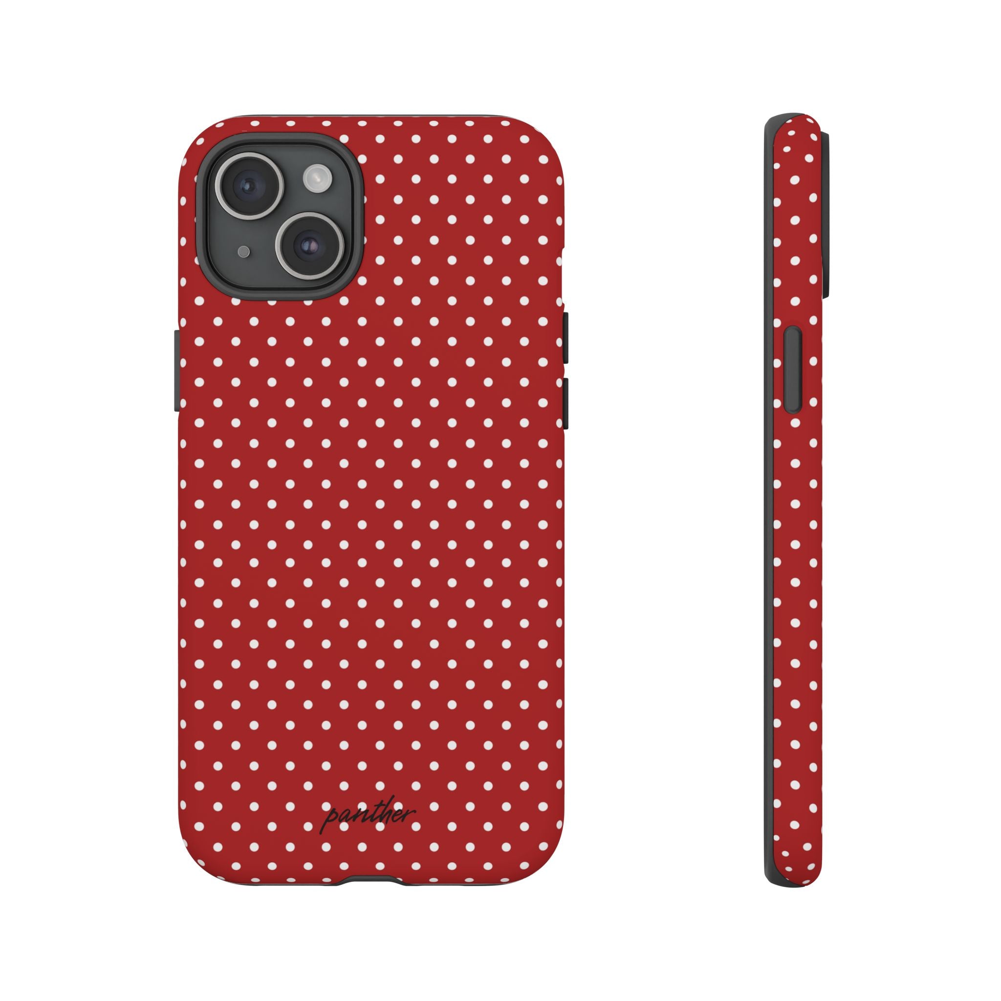 Ladybug V3
